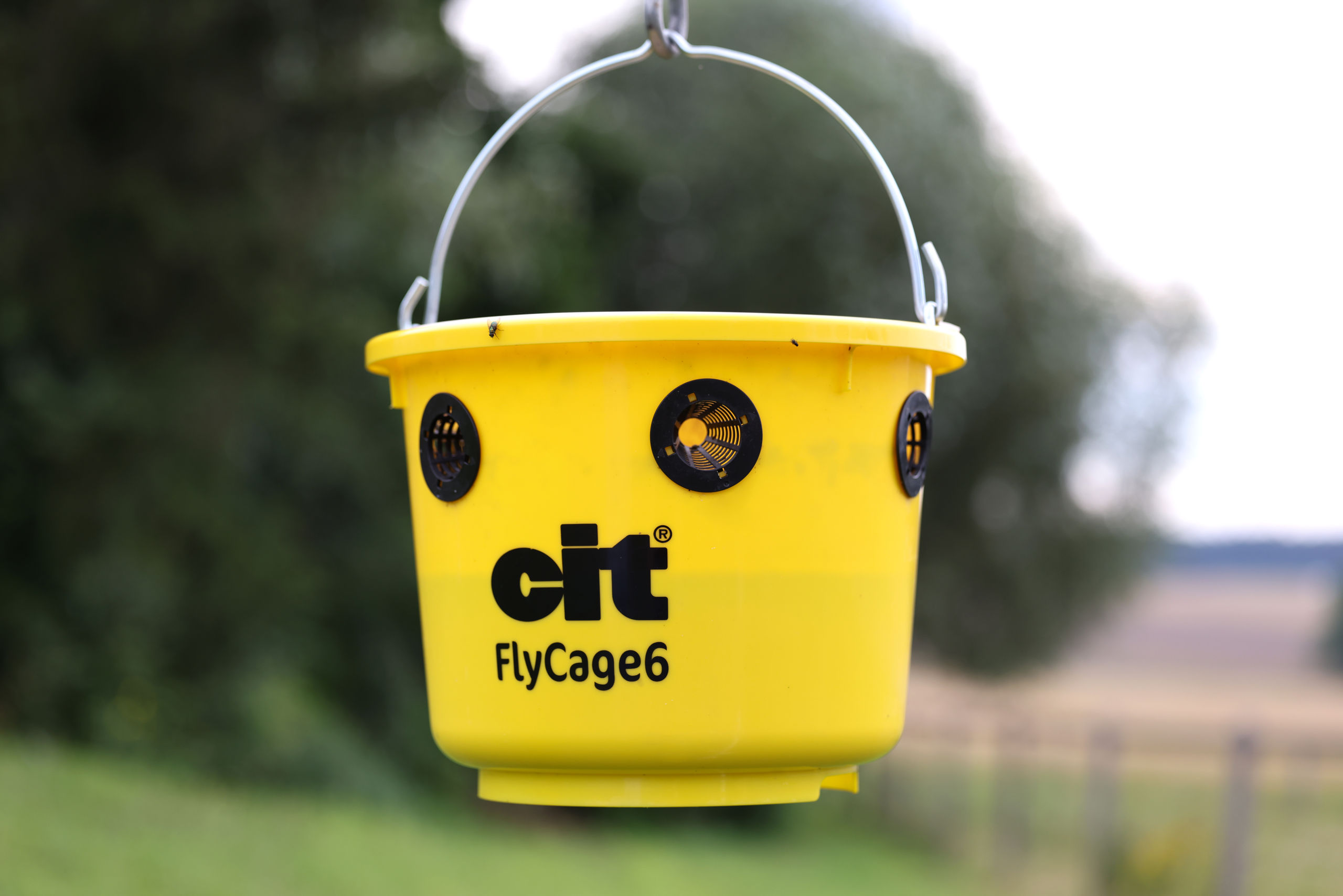 cit Fliegenfalle FlyCage6 von cit 299135