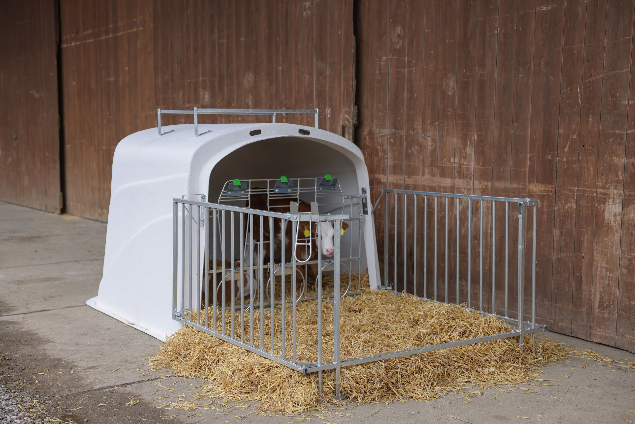 CalfHouse Premium DUO mit Umzäunung von Kerbl 14618