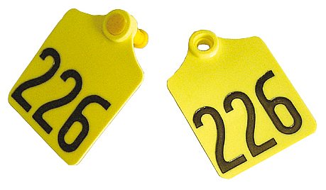 PrimaFlex-Ohrmarke Größe 2, beidseitig geprägt | 25er Pack von 2076