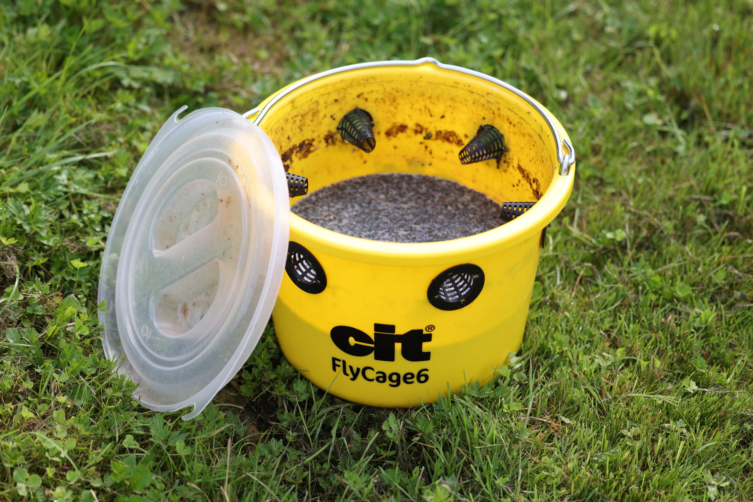 cit Fliegenfalle FlyCage6 von cit 299135