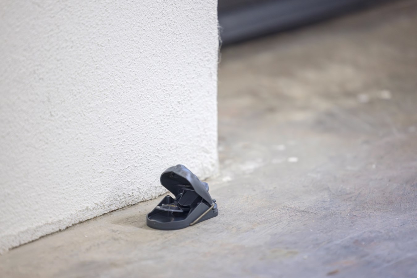 cit Schlagfalle mouseStop von cit