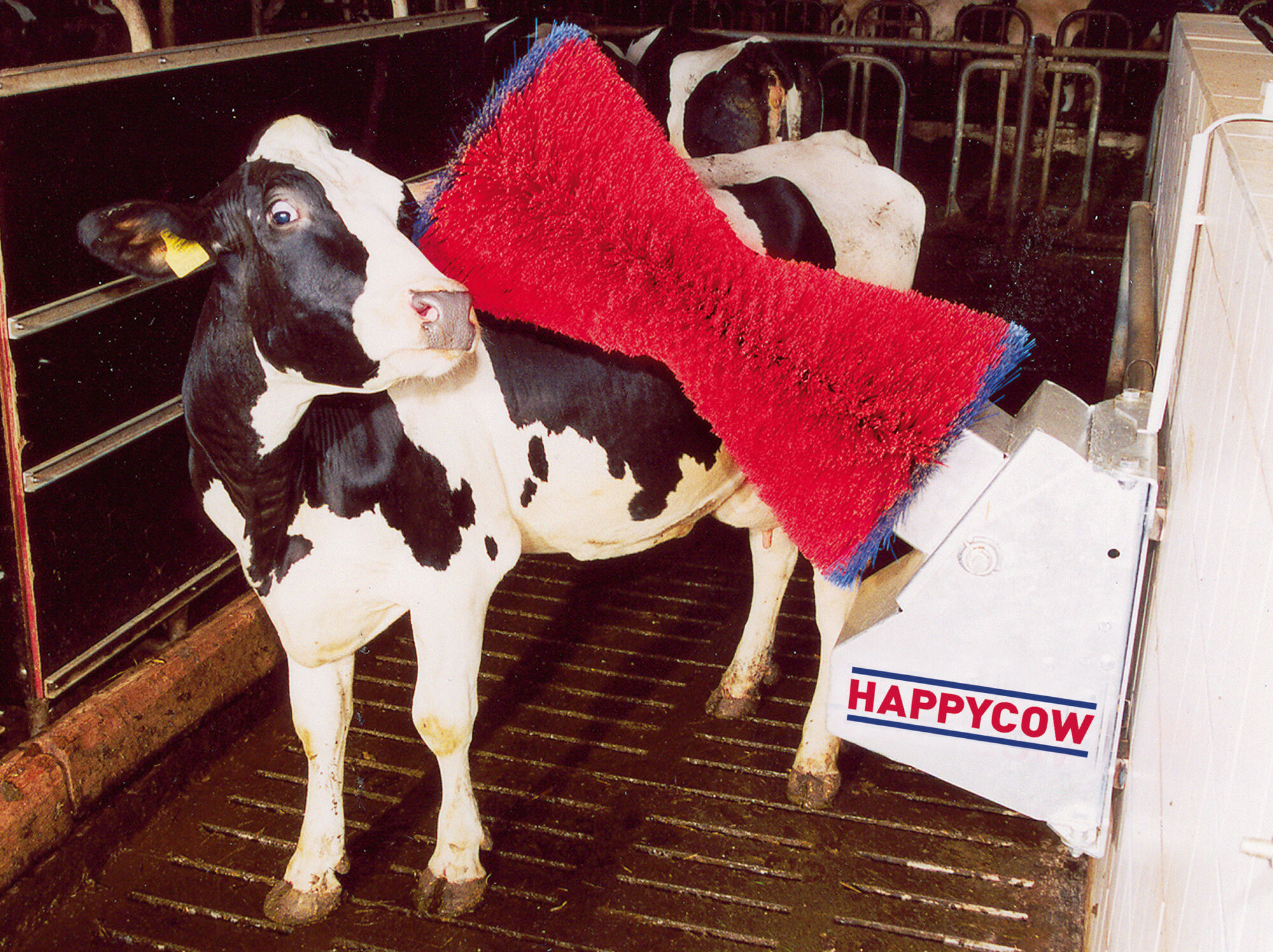 Kuhputzmaschine HAPPYCOW Uno mit PA-Borsten - Kerbl 18680 Kuhputzmaschine HAPPYCOW Uno mit PA-Borsten von Kerbl 18680