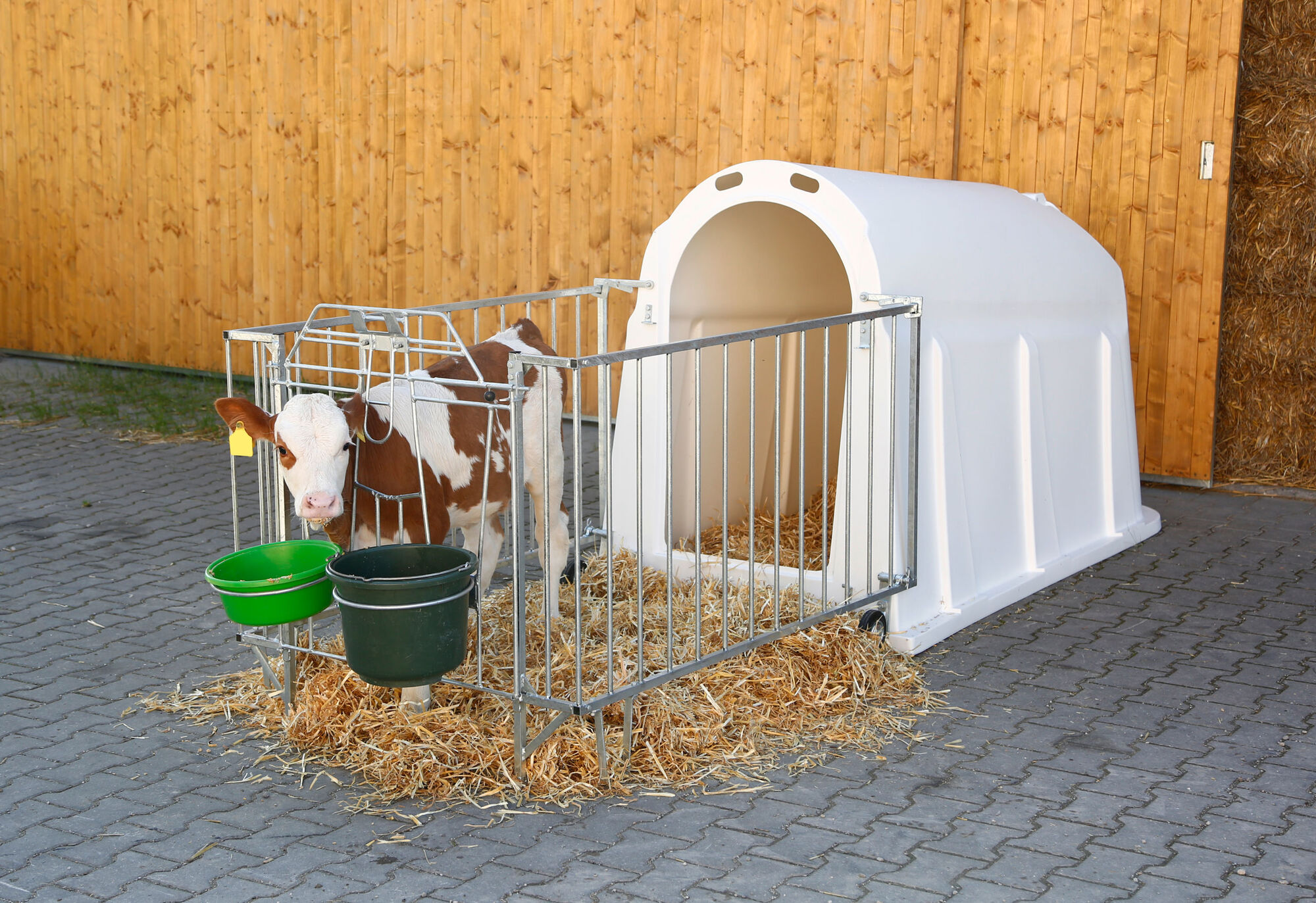 Kälberiglu CalfHouse PE UV+ mit leichter Umzäunung - Kerbl 14566 Kälberiglu CalfHouse PE UV+ mit leichter Umzäunung von Kerbl 14566