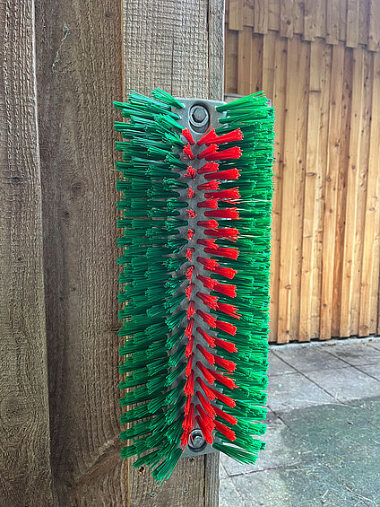Kratzbürste Eco halbrund von Göbel