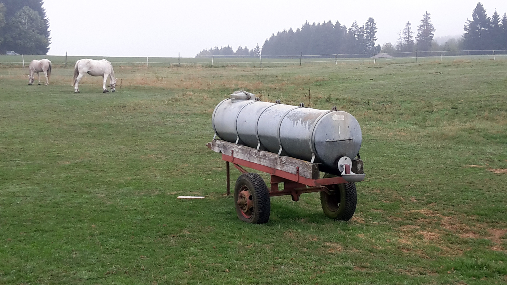 Anbau-Tränkebecken Mod. 98 - Suevia 100.0098 Anbau-Tränkebecken Mod. 98 von Suevia 100.0098