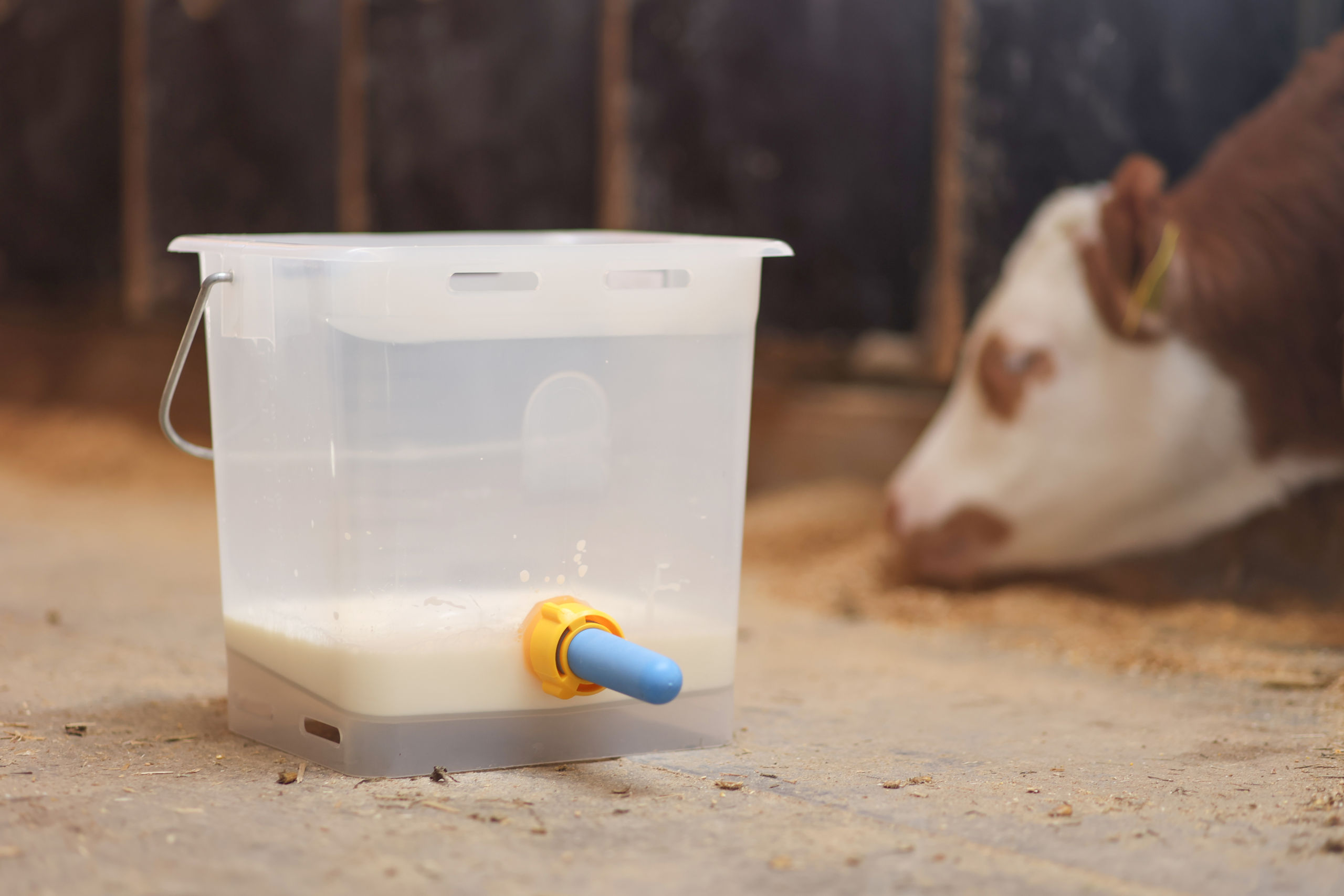 Hygienesauger mit antibakterielle Wirkung | 10er Pack - Kerbl Hygienesauger mit antibakterielle Wirkung | 10er Pack von Kerbl