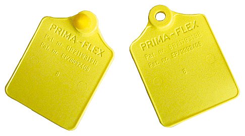 PrimaFlex Ohrmarke Größe 2, ungeprägt | 25er Pack von Kerbl 2075