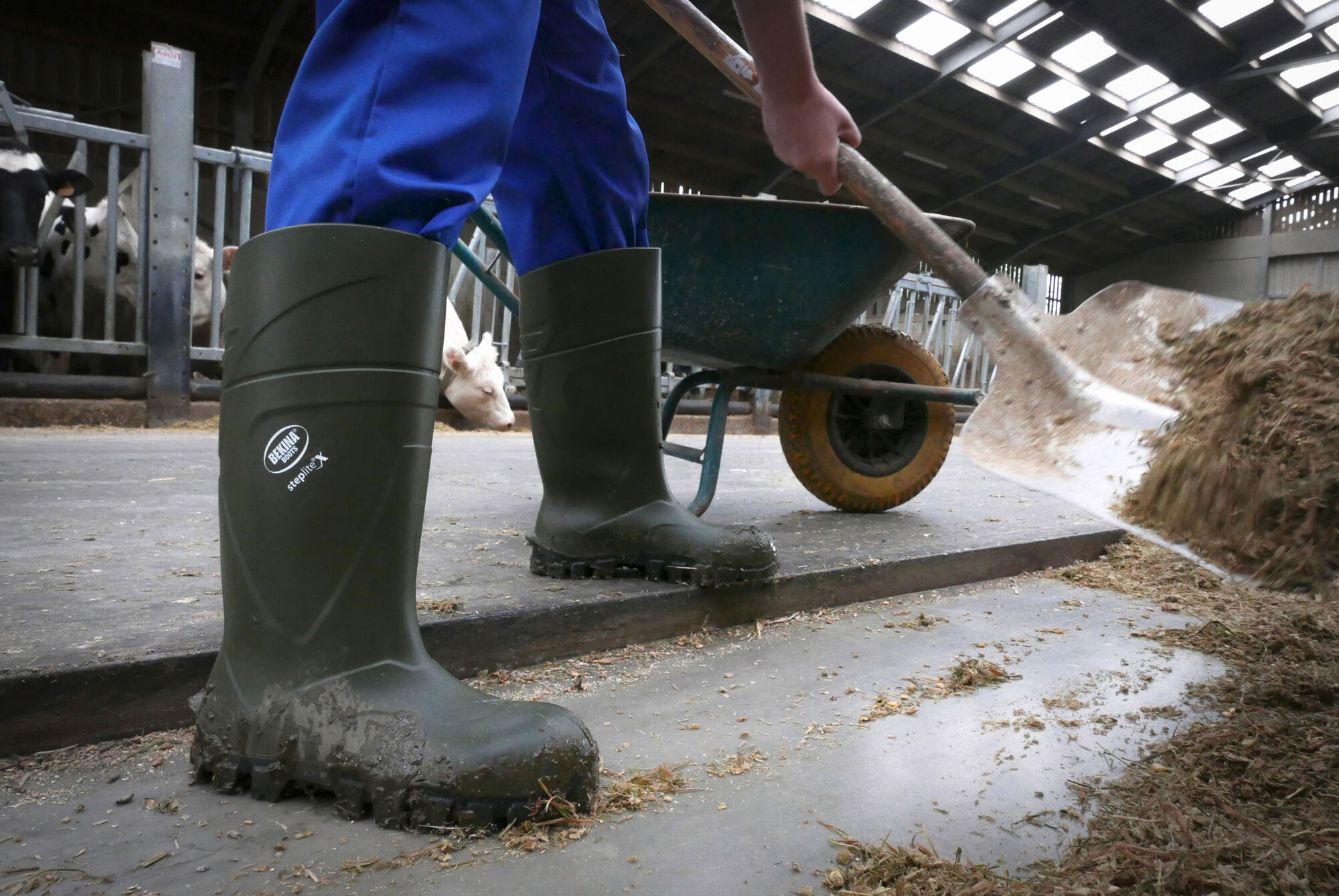 Bekina Sicherheitsstiefel S5 StepliteX® Solidgrip von Bekina