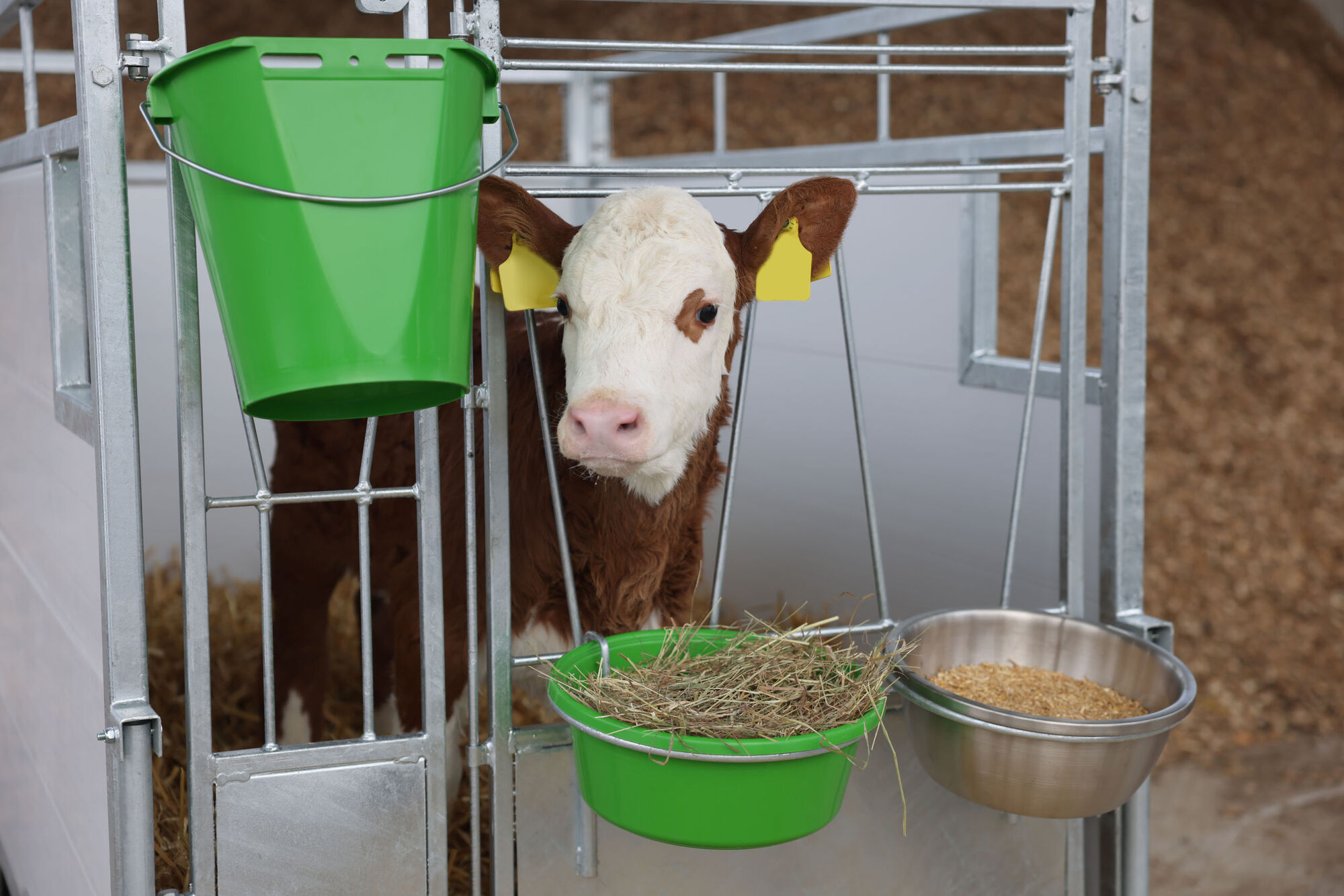 Kälberbox Premium mit schwenkbarem Boden von Kerbl 14616