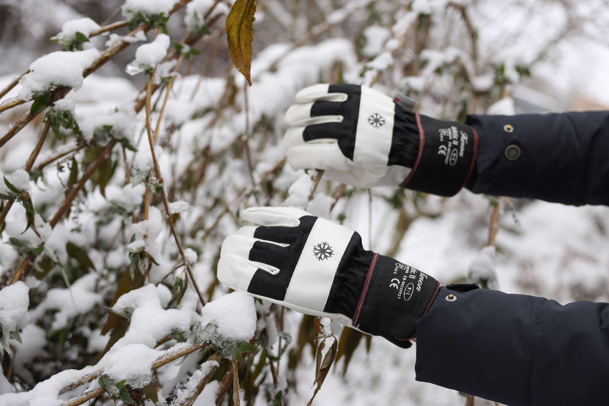 Winterhandschuh Arktic II - Keron Winterhandschuh Arktic II von Keron