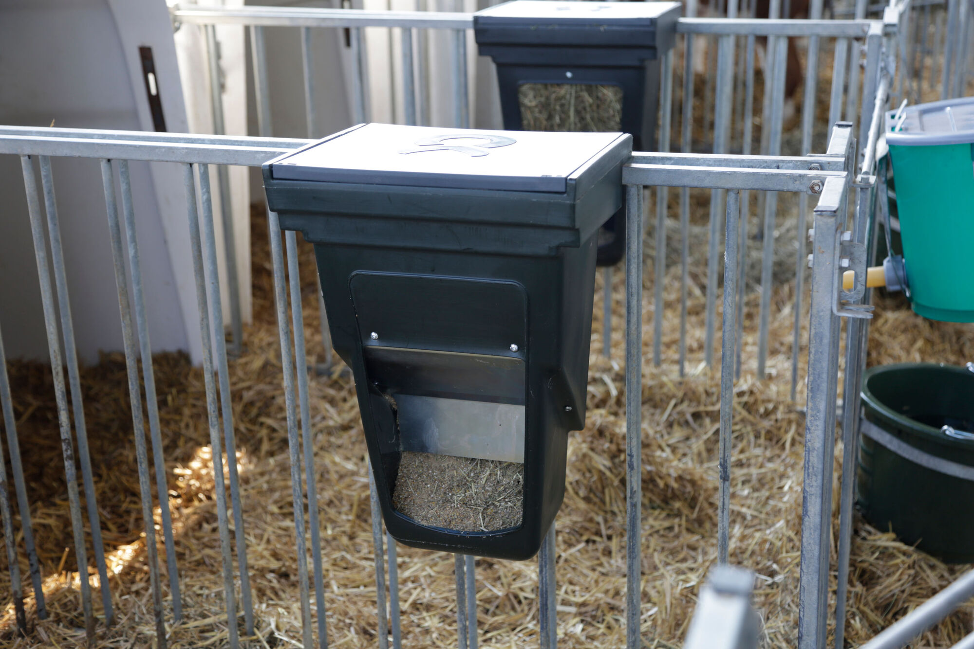 Kraftfutterbox für Kälberhütten von Kerbl 144353