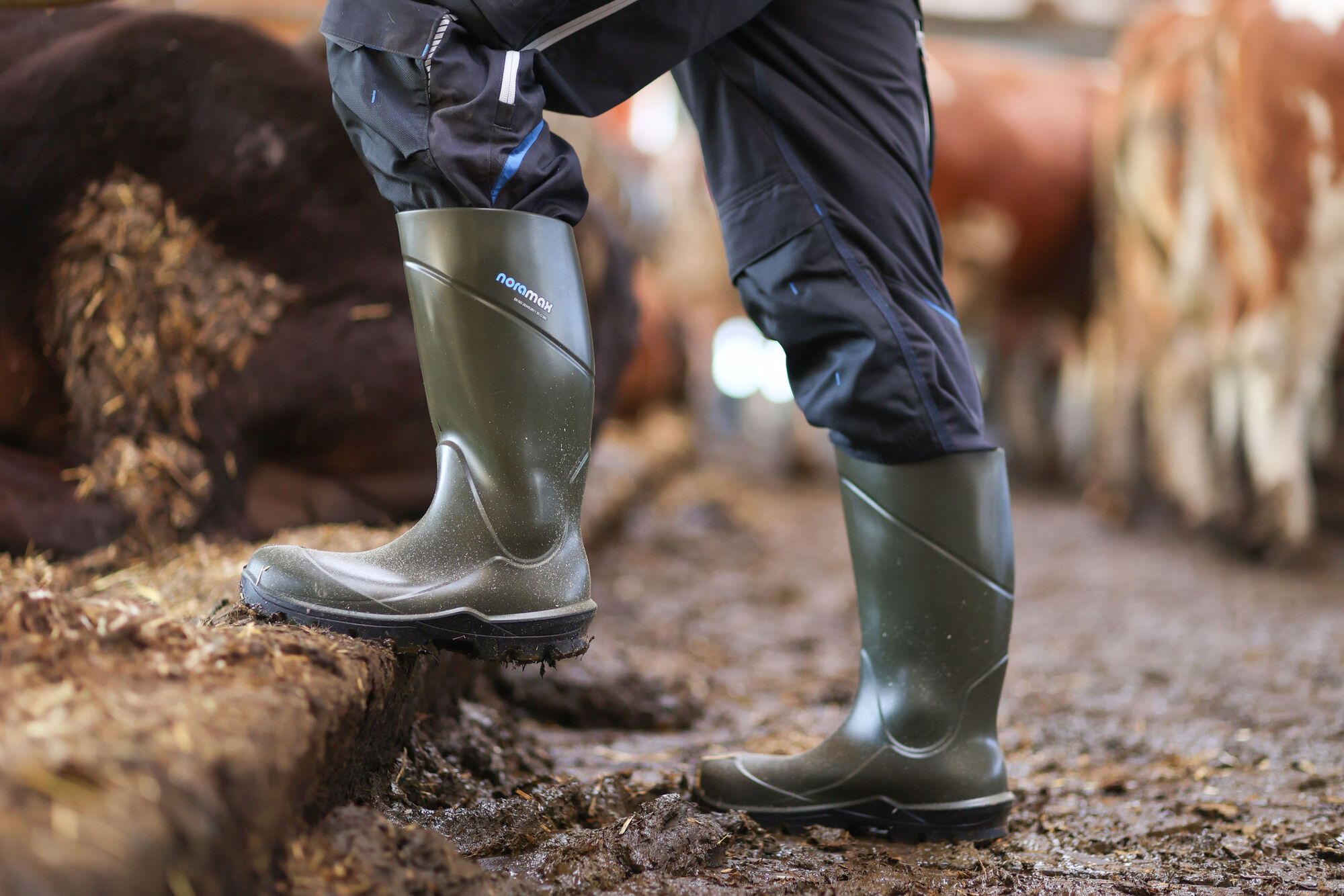 nora Sicherheitsstiefel NORAMAX S5 von nora