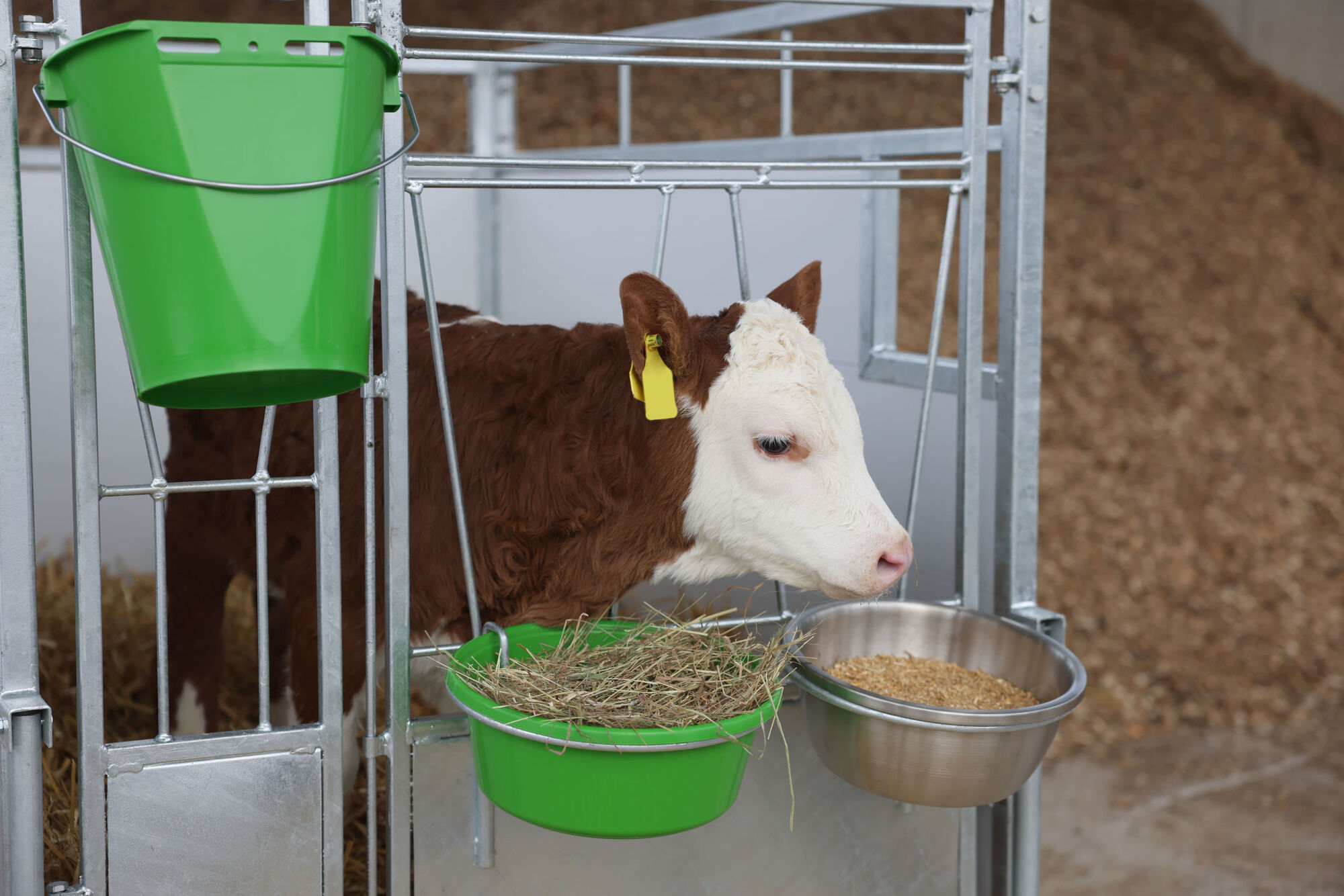 Kälberbox Premium mit schwenkbarem Boden von Kerbl 14616