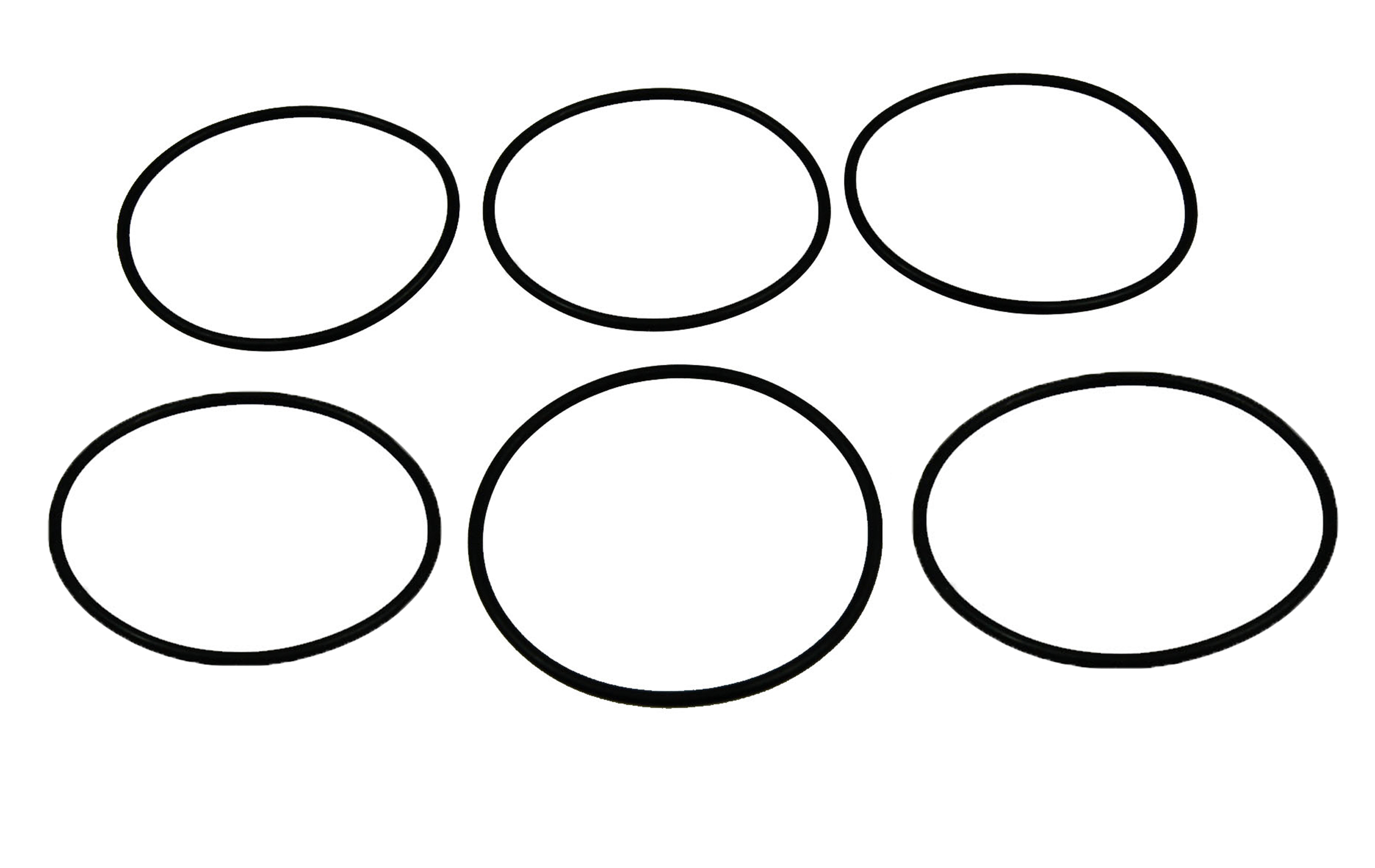 Ambic O-Ringe für Mastitisdetektor Vision 16, 6er Pack | AV/2004-16 - Ambic AV/2004-16 Ambic O-Ringe für Mastitisdetektor Vision 16, 6er Pack | AV/2004-16 von Ambic AV/2004-16