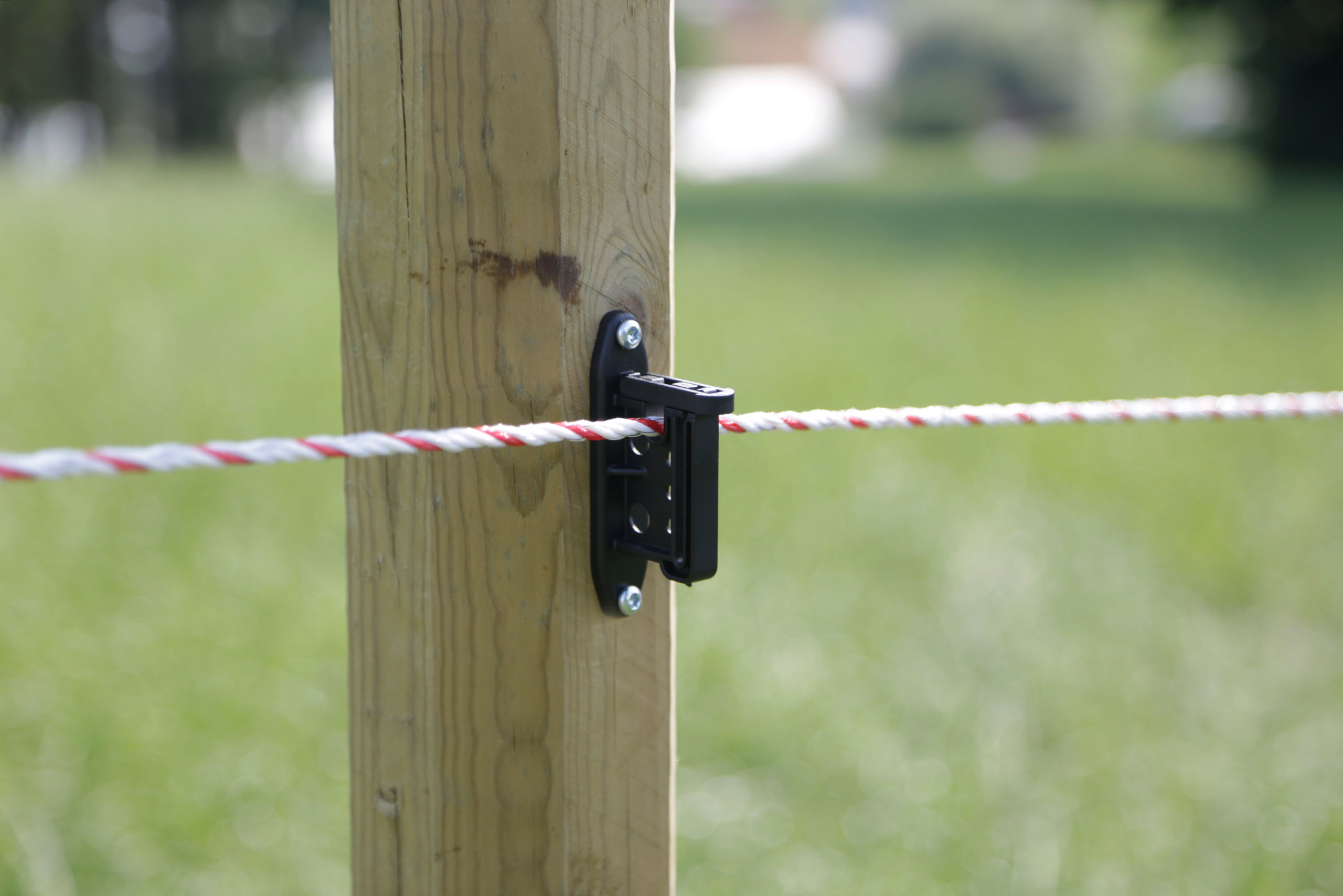 Klippisolator Easy Tape | 75 Stück Eimer - Kerbl 441391/753 Klippisolator Easy Tape | 75 Stück Eimer von Kerbl 441391/753