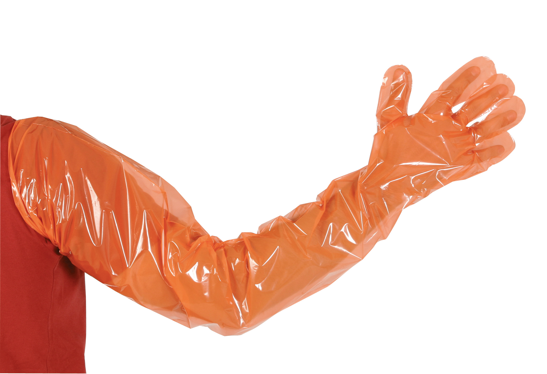 Veterinär-Einmalhandschuh VETbasic | 100 Stück - Kerbl 15364 Veterinär-Einmalhandschuh VETbasic | 100 Stück von Kerbl 15364