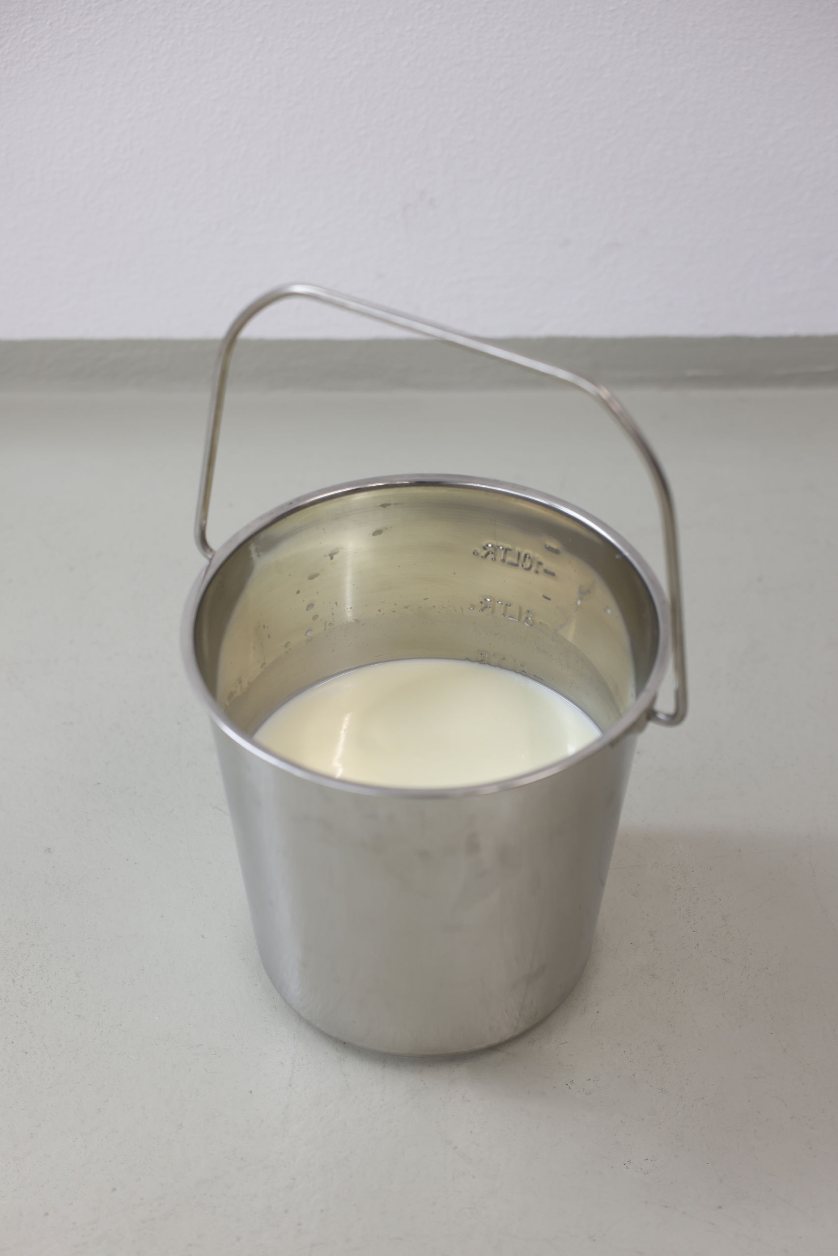 Edelstahleimer mit Füllskala - Kerbl 29377 Edelstahleimer mit Füllskala von Kerbl 29377