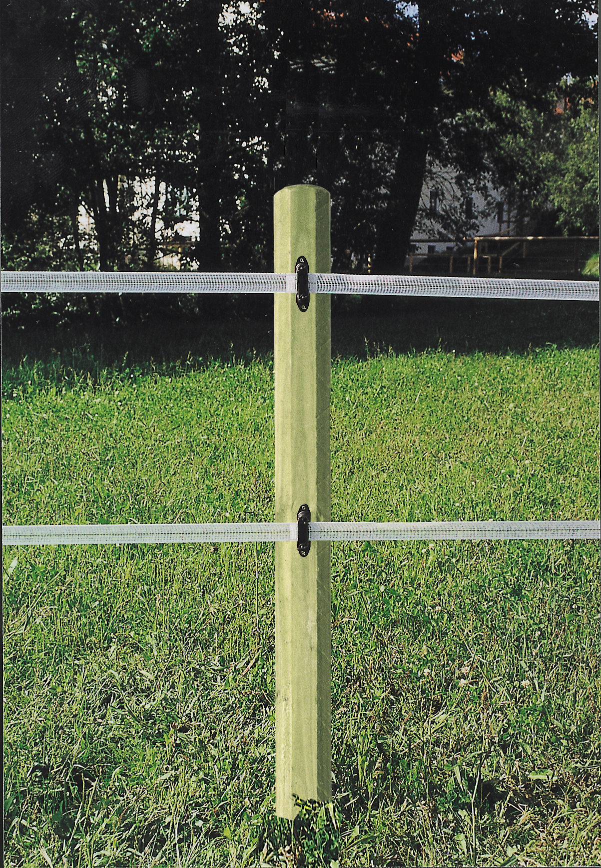 Holzpfahl Octo Wood Eck-/Torpfahl 250 x 14 cm von AKO