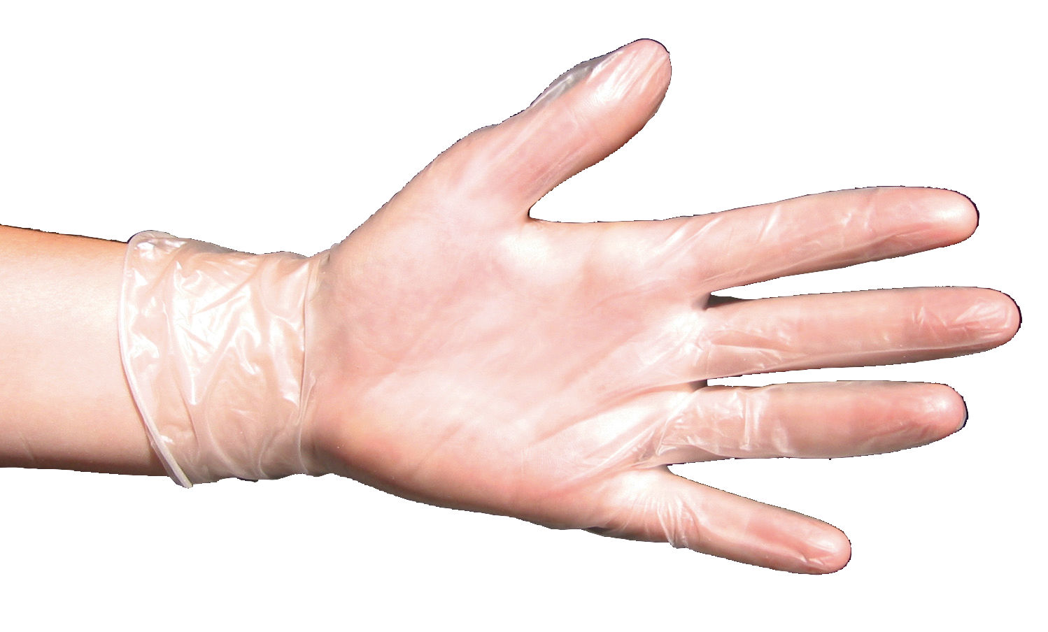 Einmalhandschuh Vinyl | 100 Stück - Kerbl Einmalhandschuh Vinyl | 100 Stück von Kerbl