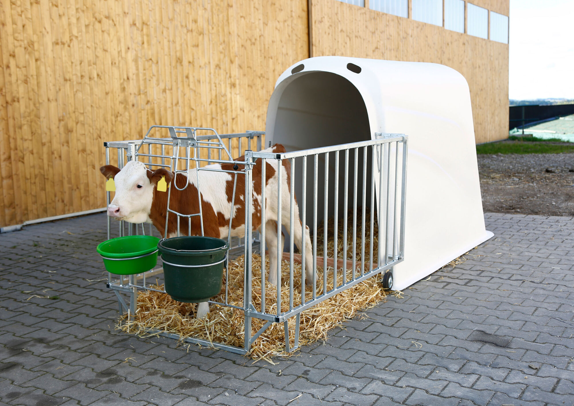 Kälberiglu CalfHouse Premium Plus mit leichter Umzäunung - Kerbl 14580 Kälberiglu CalfHouse Premium Plus mit leichter Umzäunung von Kerbl 14580