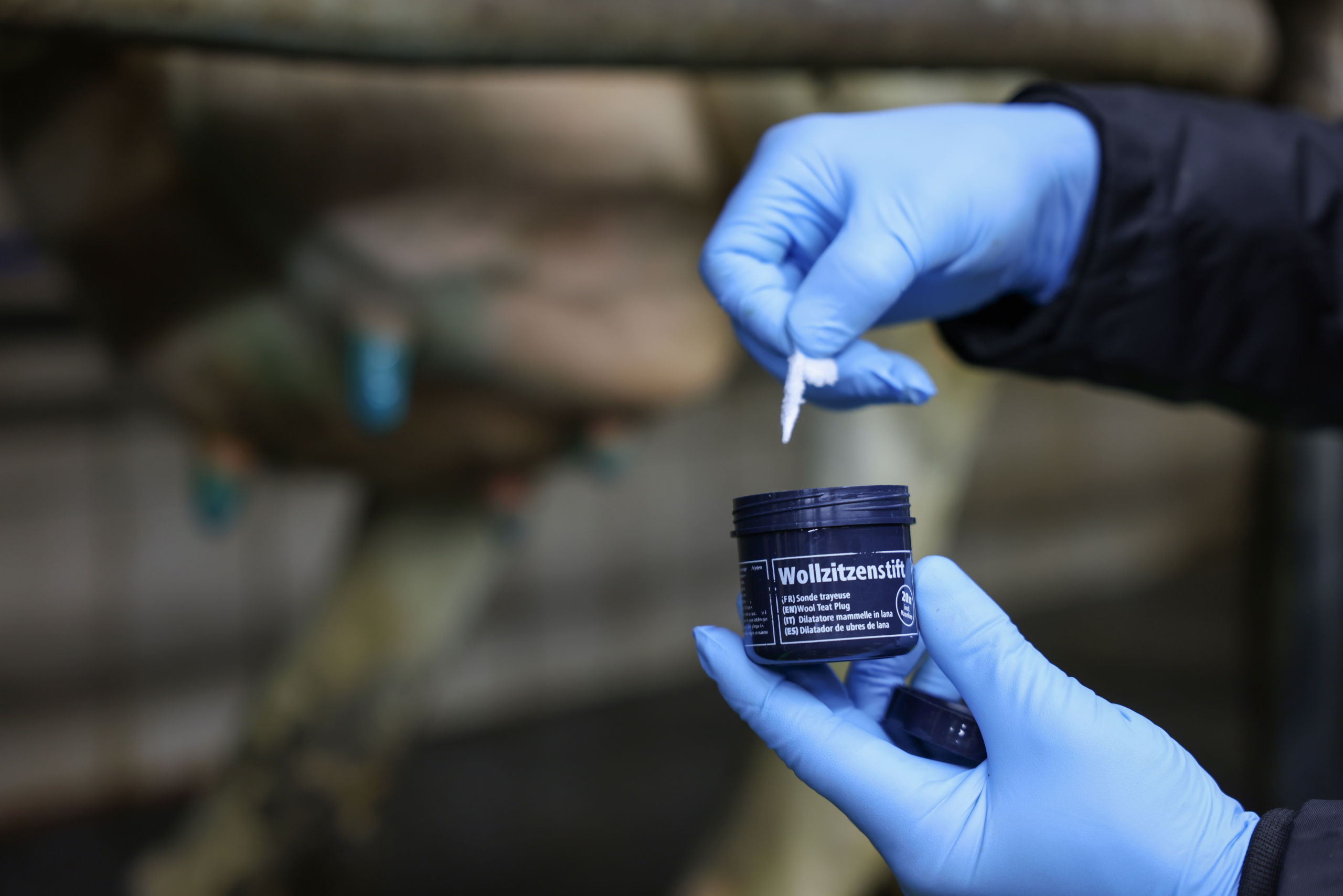 Wollzitzenstifte mit Salbe | 20er Dose - Kerbl 1523 Wollzitzenstifte mit Salbe | 20er Dose von Kerbl 1523