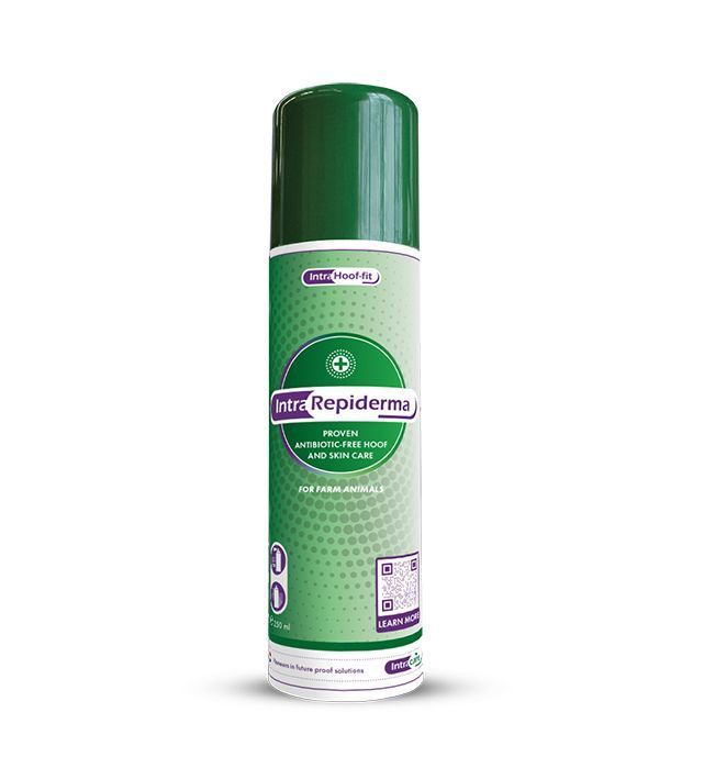 Intra Repiderma Spray | 250 ml - Intracare Intra Repiderma Spray | 250 ml von Intracare