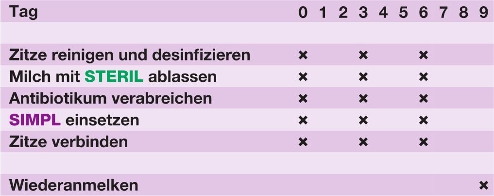 SIMPL - Das erste Silikonimplantat für Zitzen | 20er Pack von VUXXX