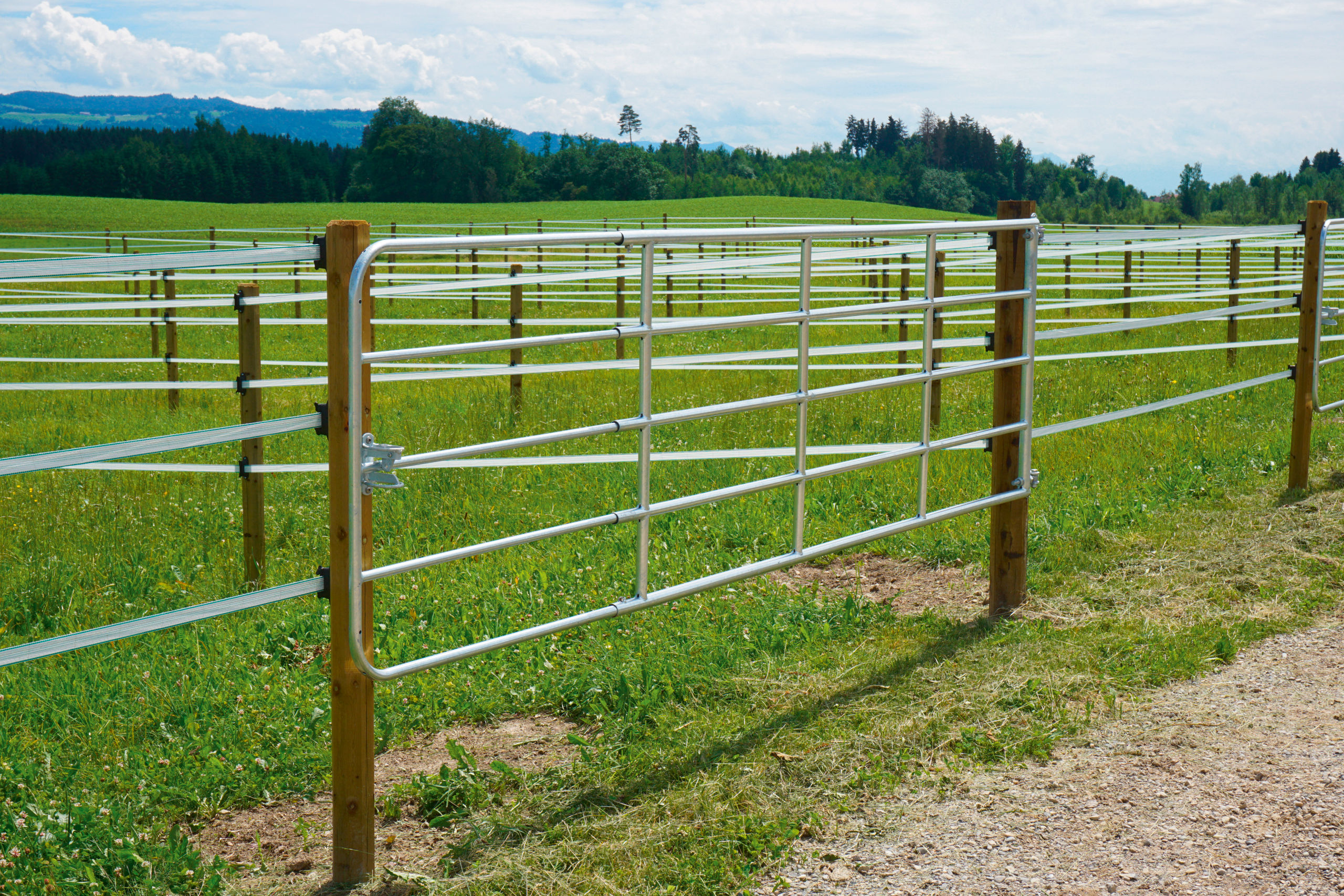 Weidetor, verstellbar von Kerbl