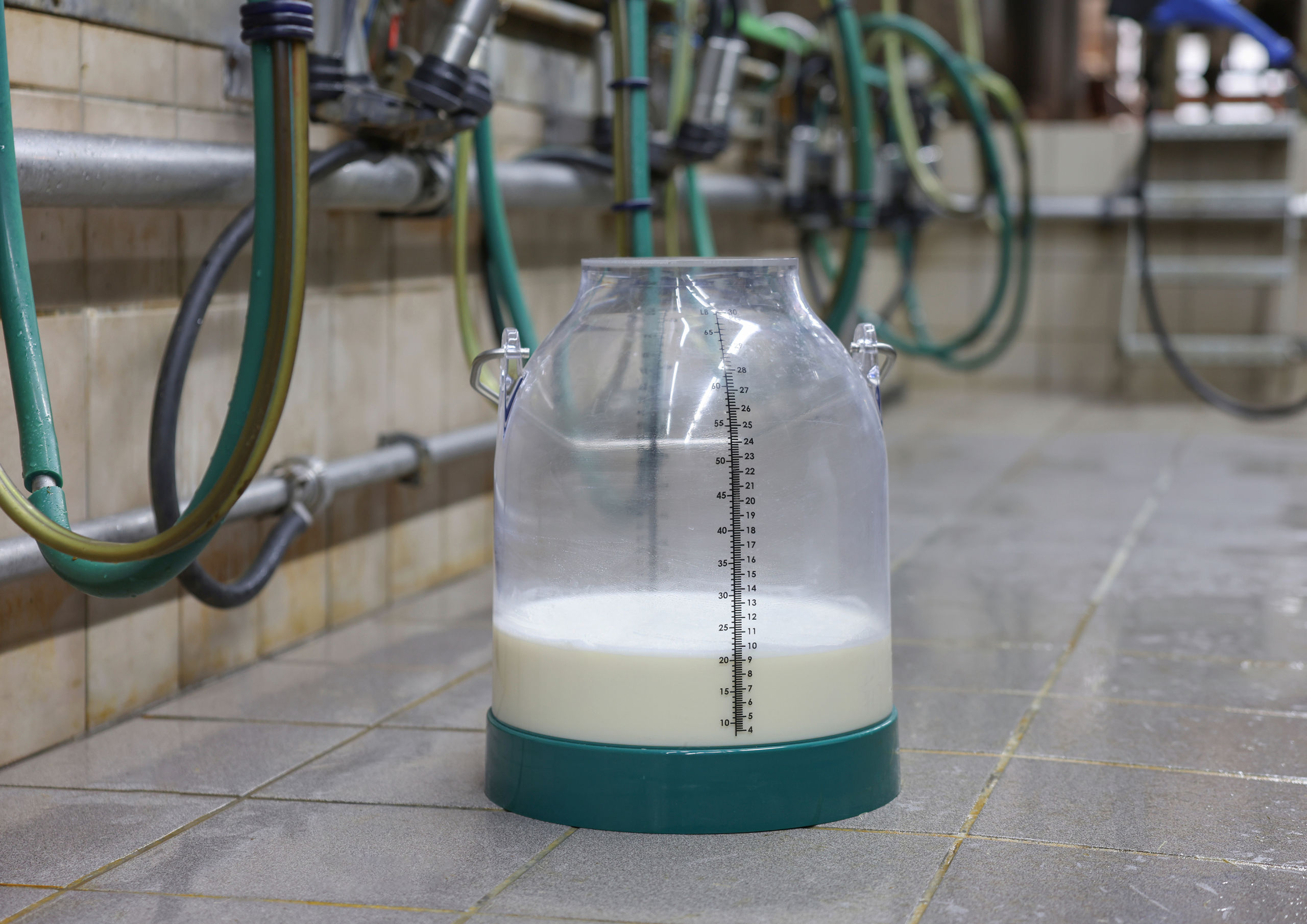 Melkeimer Kunststoff 30 Liter von Kerbl
