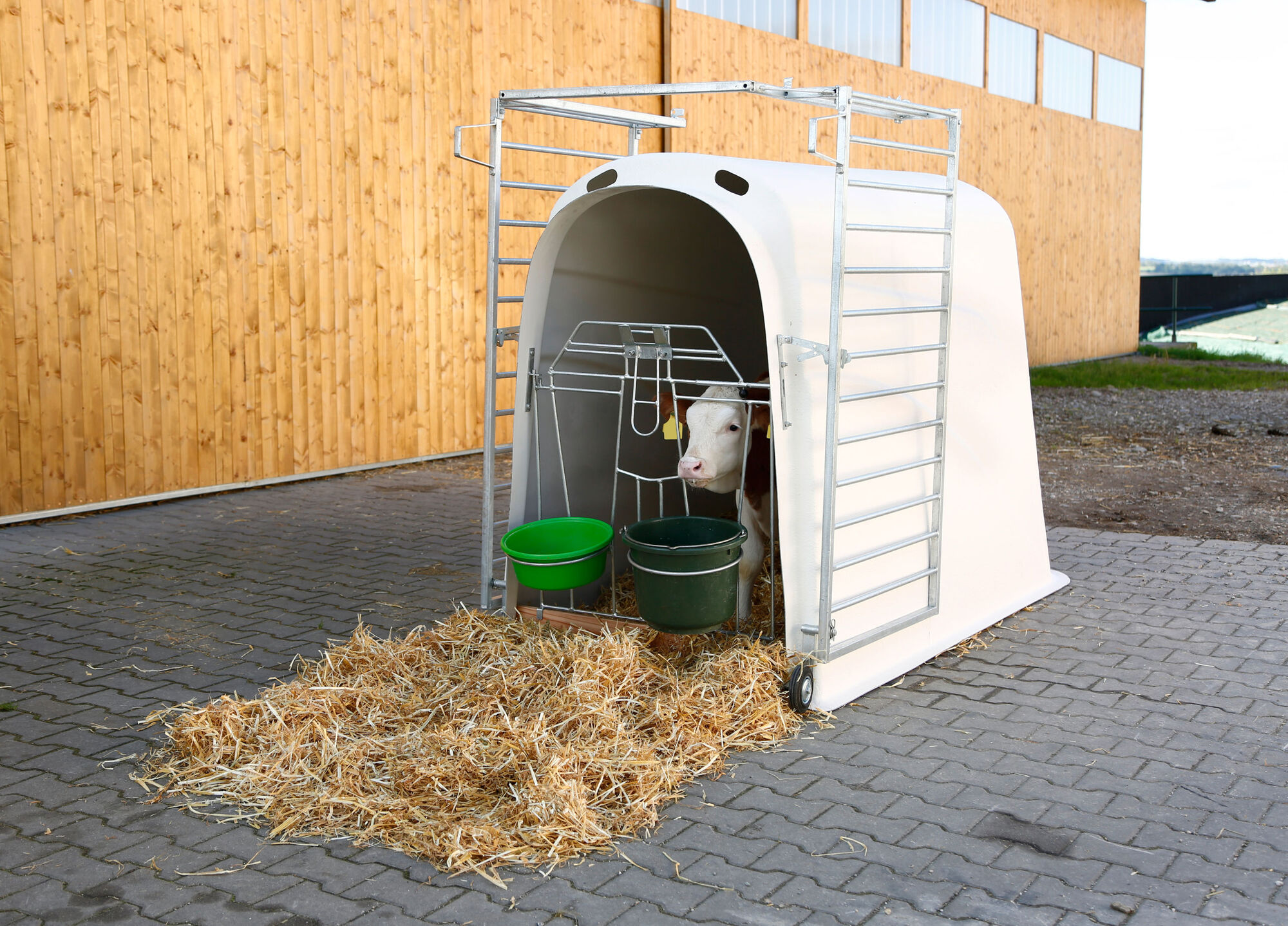 Kälberiglu CalfHouse Premium Plus mit leichter Umzäunung - Kerbl 14580 Kälberiglu CalfHouse Premium Plus mit leichter Umzäunung von Kerbl 14580