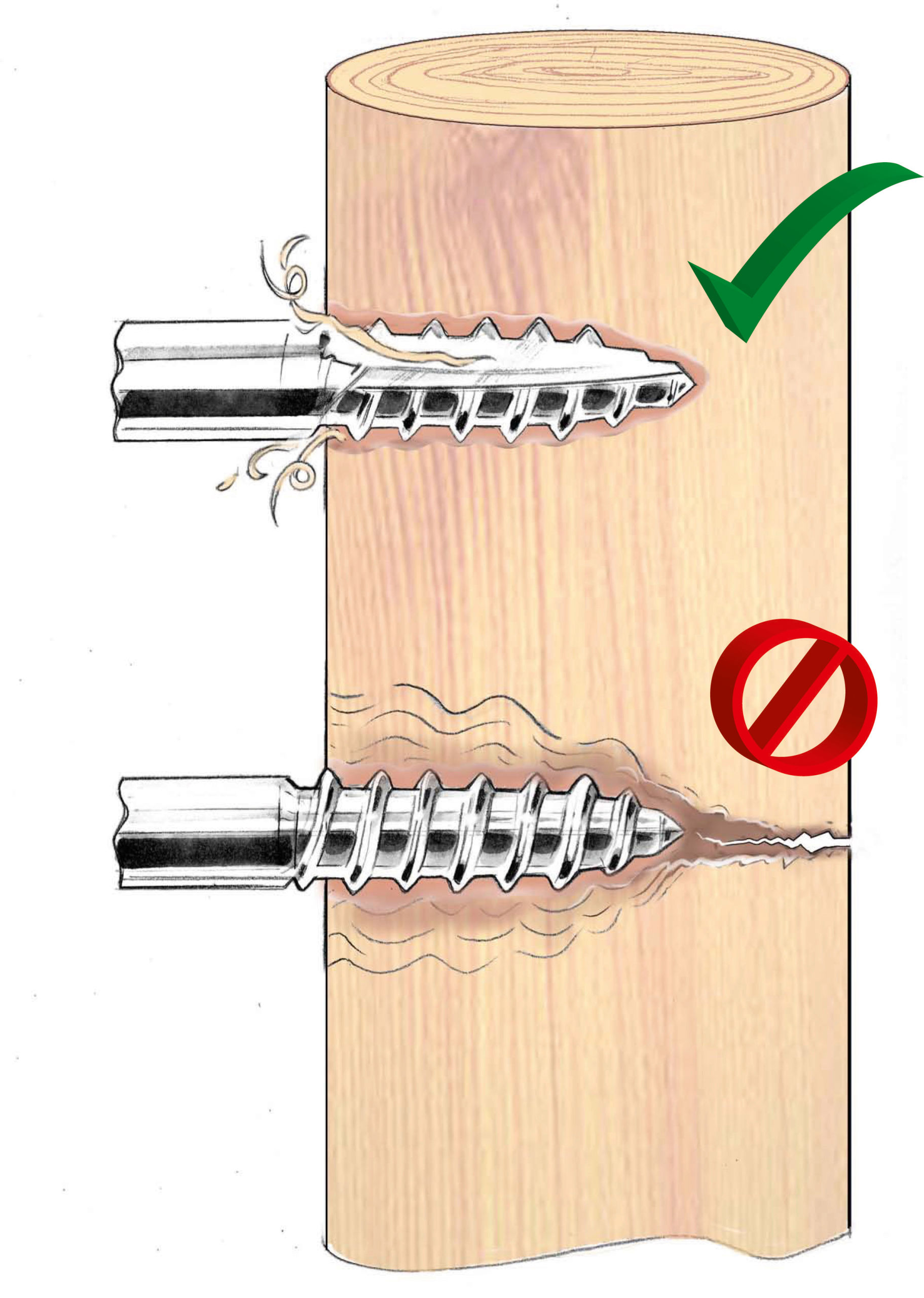 Ringisolator Easy Drill EDX mit durchgehender Stütze | 25 Stück von AKO