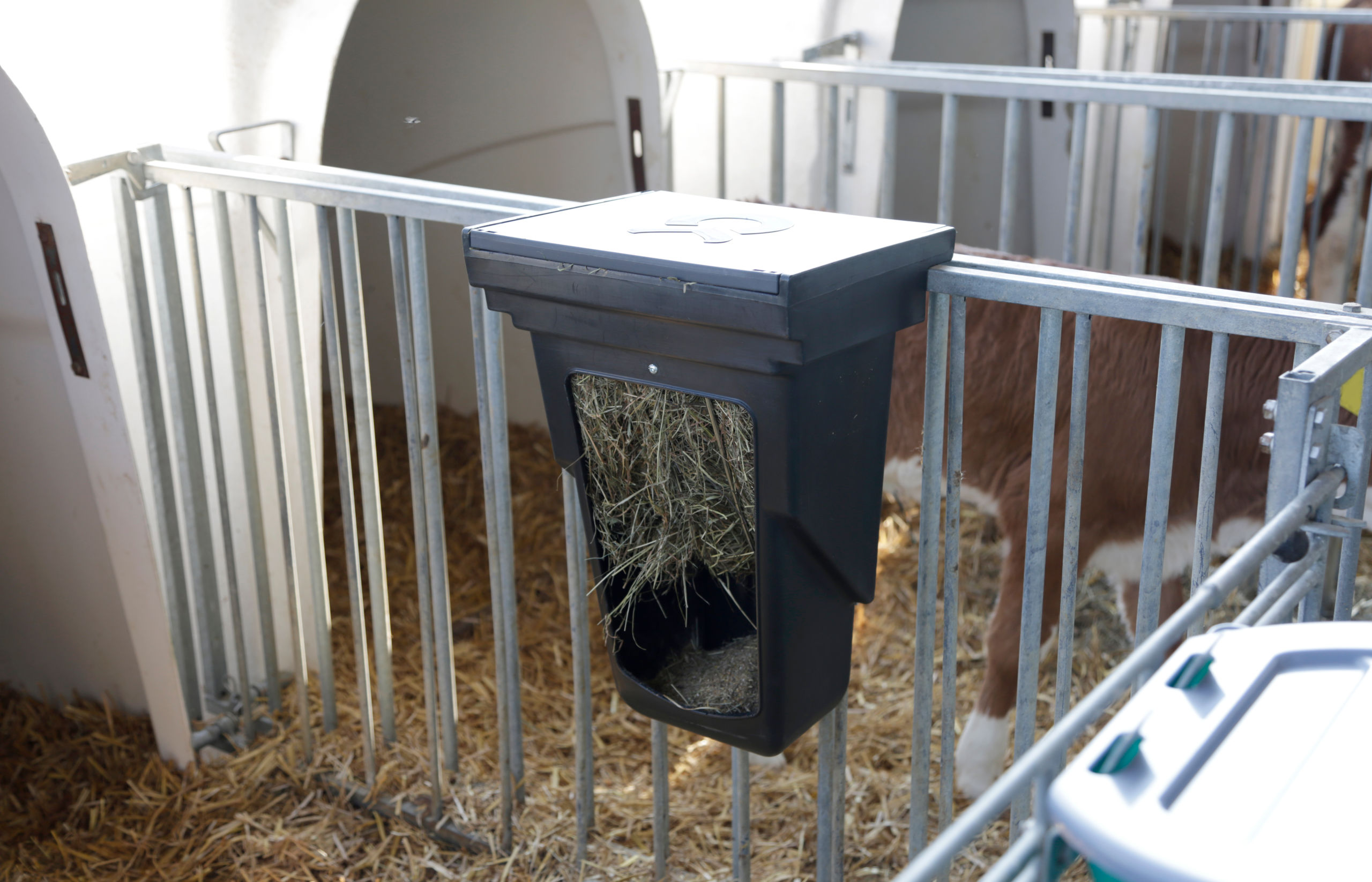 Kombi-Futterbox klein für Kälberhütten von Kerbl 144352