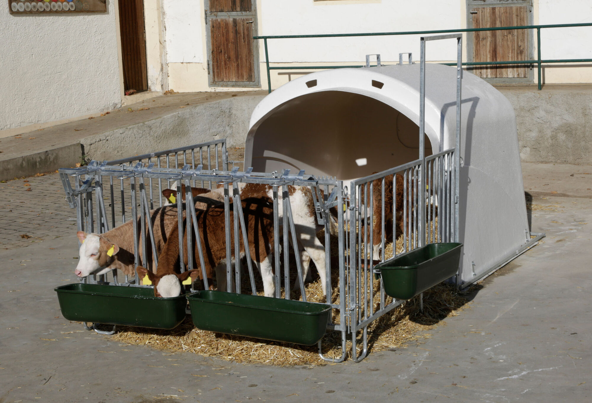 Großraumkälberhütte CalfHouse Premium XL inkl. Umzäunung - Kerbl 14520 Großraumkälberhütte CalfHouse Premium XL inkl. Umzäunung von Kerbl 14520