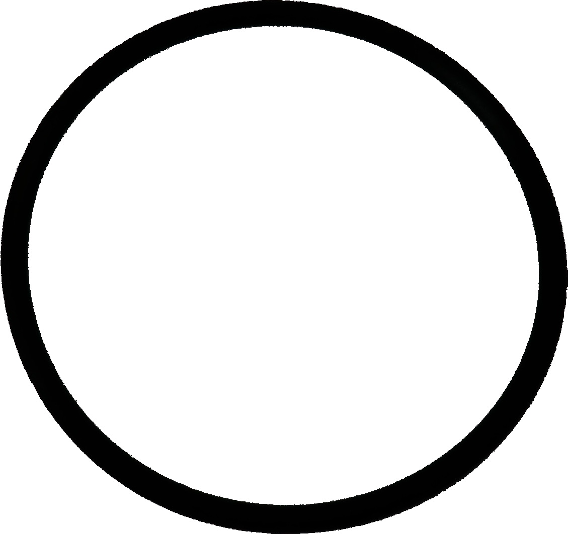 O-Ring passend für Fullwood Pulsschlauchadapter | 007651 von Fullwood (passend für) 007651