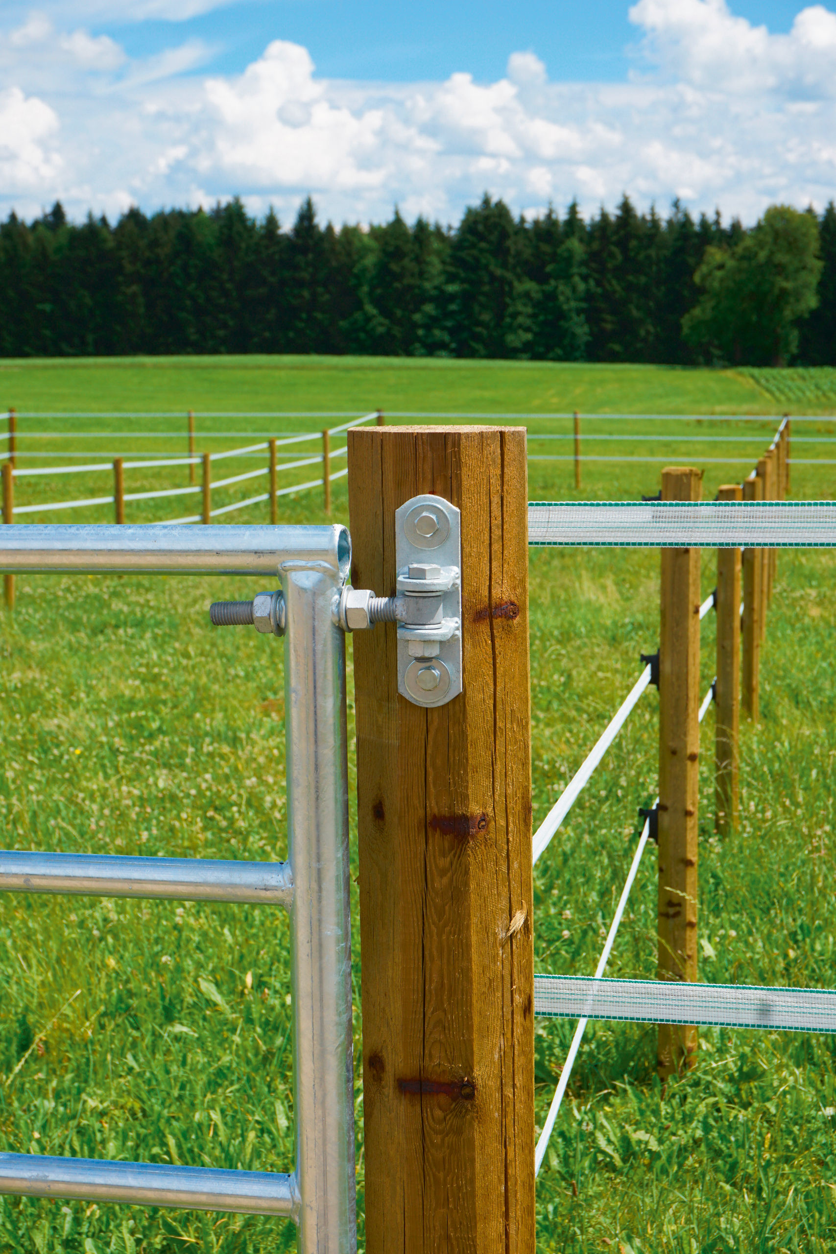 Weidetor, verstellbar - Kerbl Weidetor, verstellbar von Kerbl