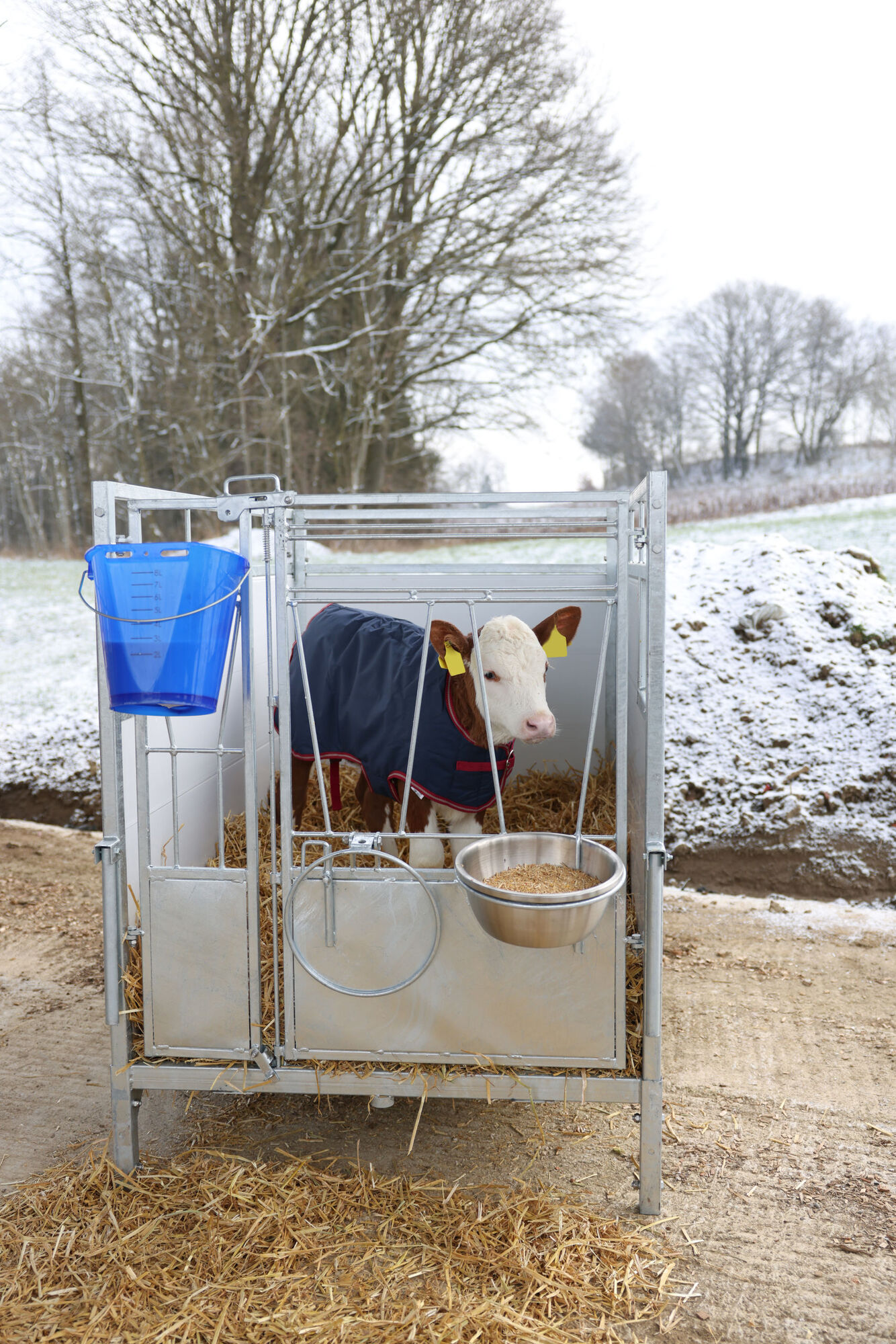 Kälberbox Premium mit schwenkbarem Boden von Kerbl 14616
