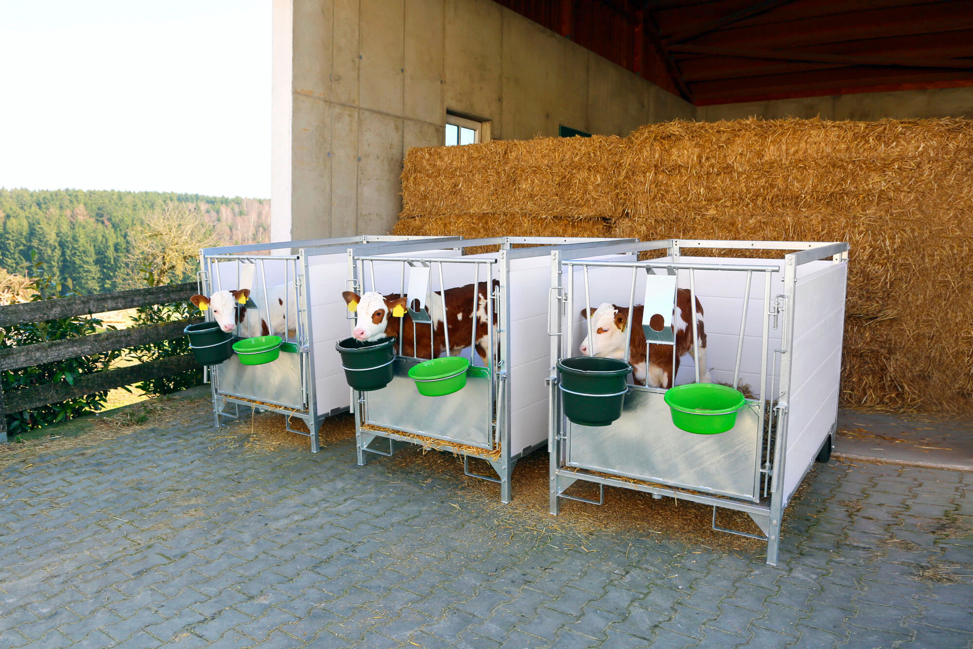 Kälberbox groß - Kerbl 14604 Kälberbox groß von Kerbl 14604