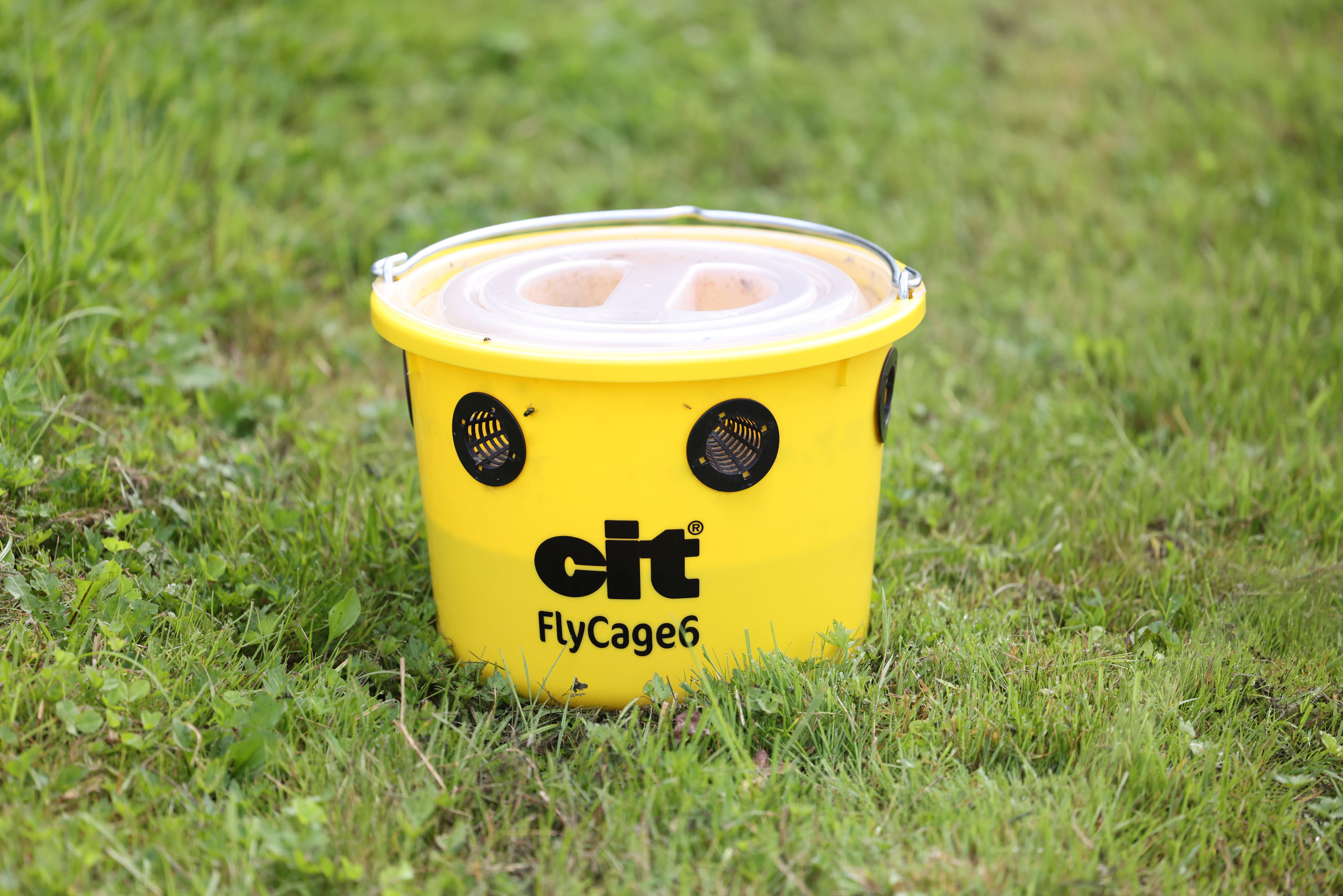 cit Fliegenfalle FlyCage6 von cit 299135
