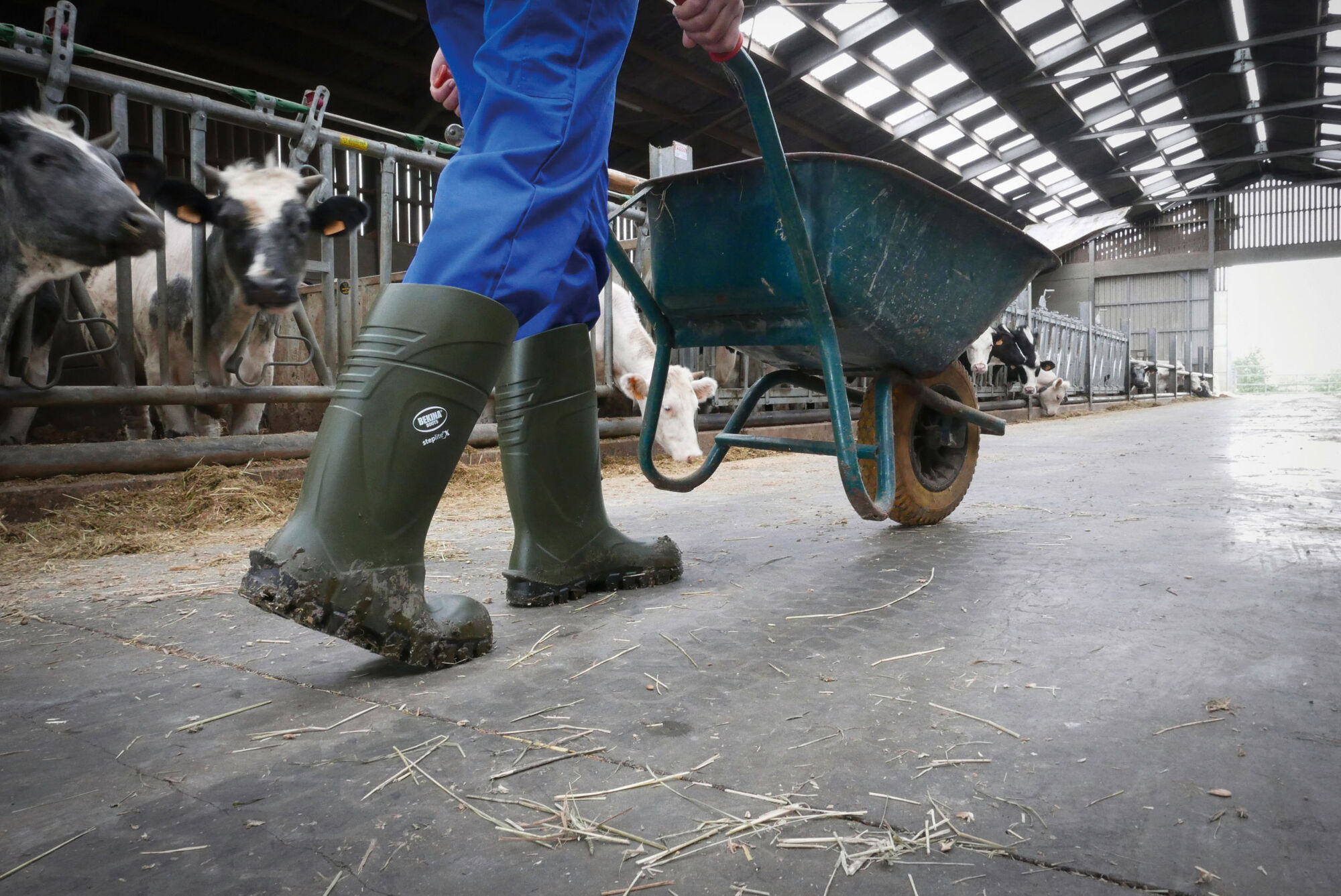 Bekina Sicherheitsstiefel S5 StepliteX® Solidgrip von Bekina