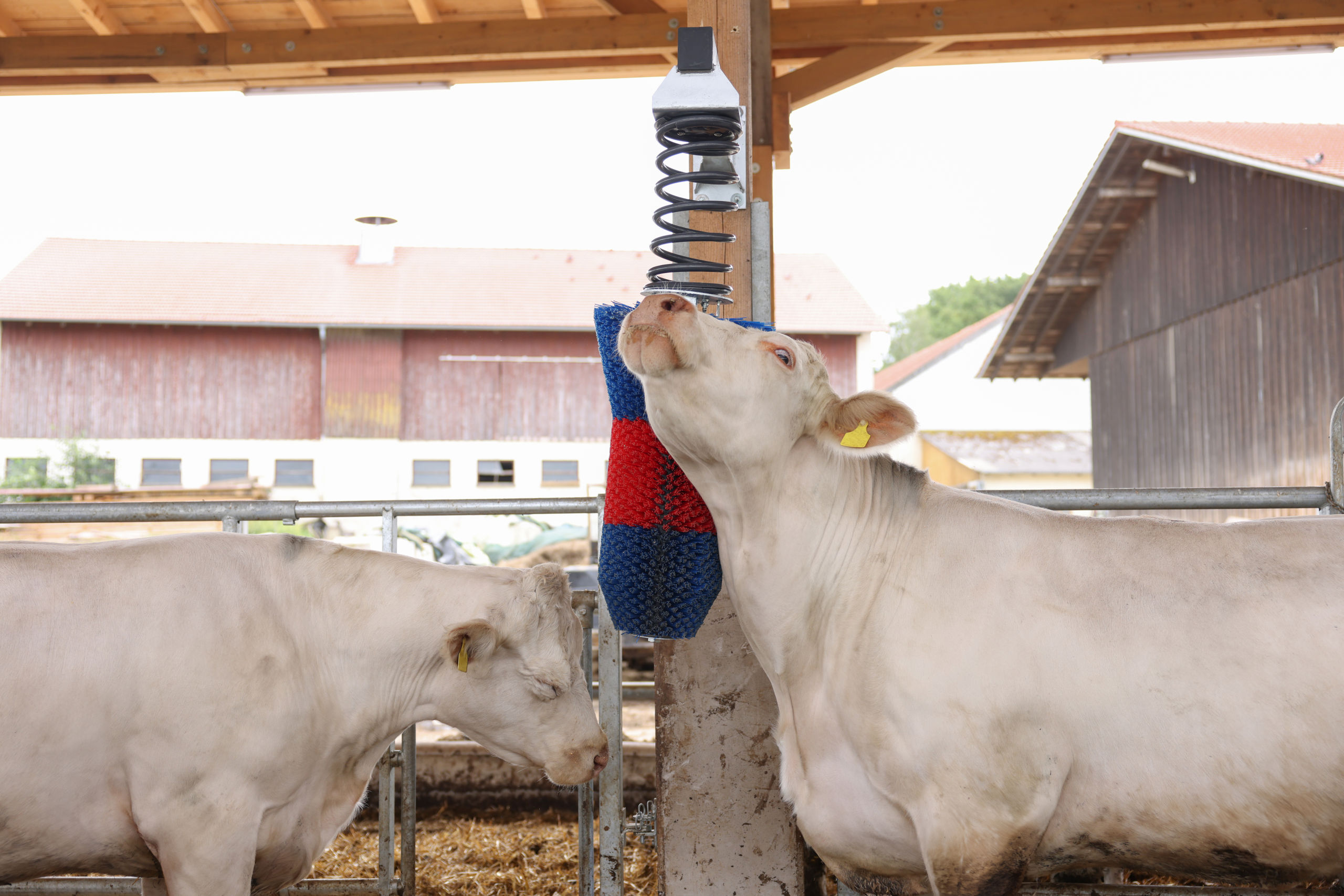 Kratzbürste HAPPYCOW FlexiSwing - Kerbl 18670 Kratzbürste HAPPYCOW FlexiSwing von Kerbl 18670