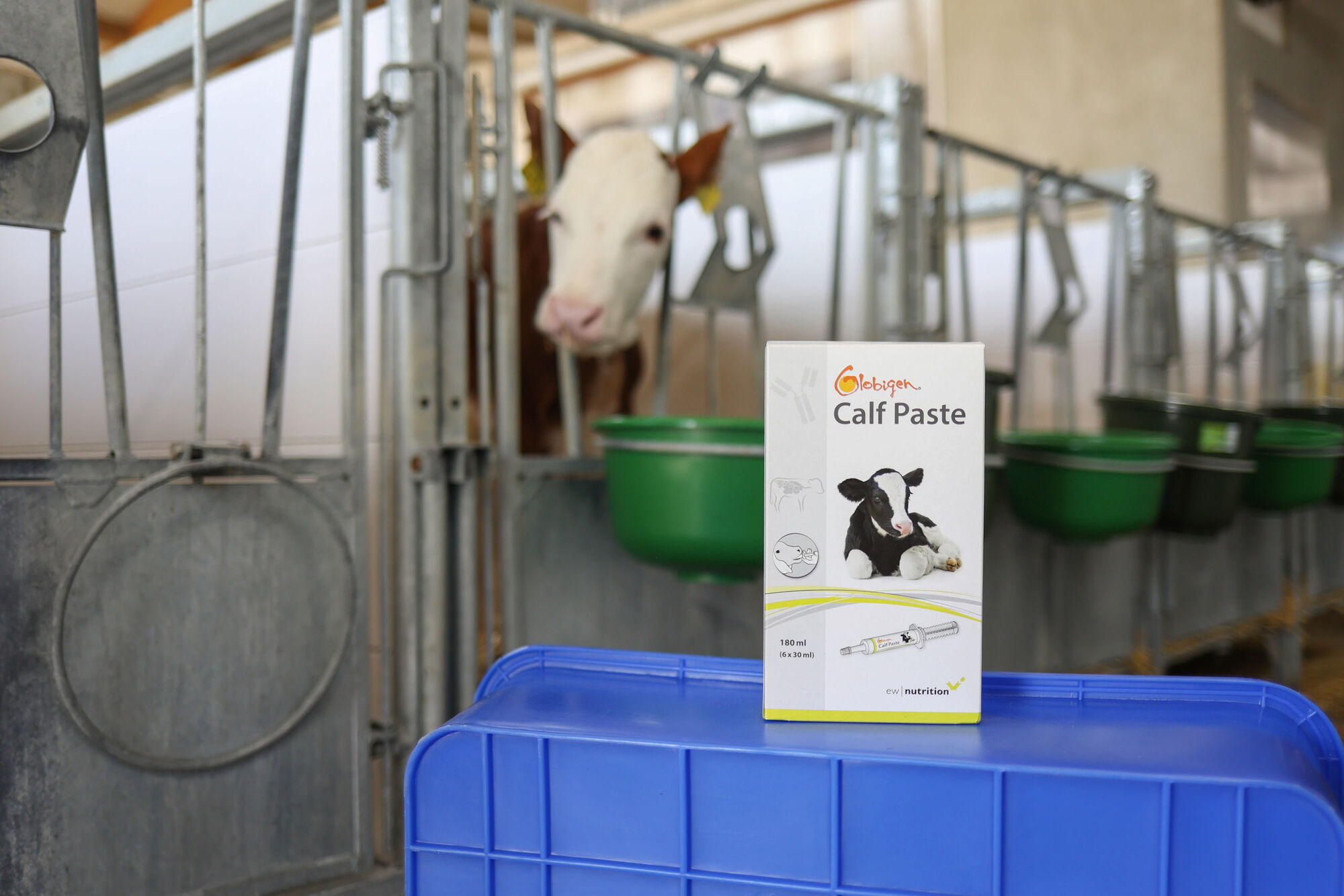 Globigen Calf Paste, 6 x 30ml - EW Nutrition Globigen Calf Paste, 6 x 30ml von EW Nutrition