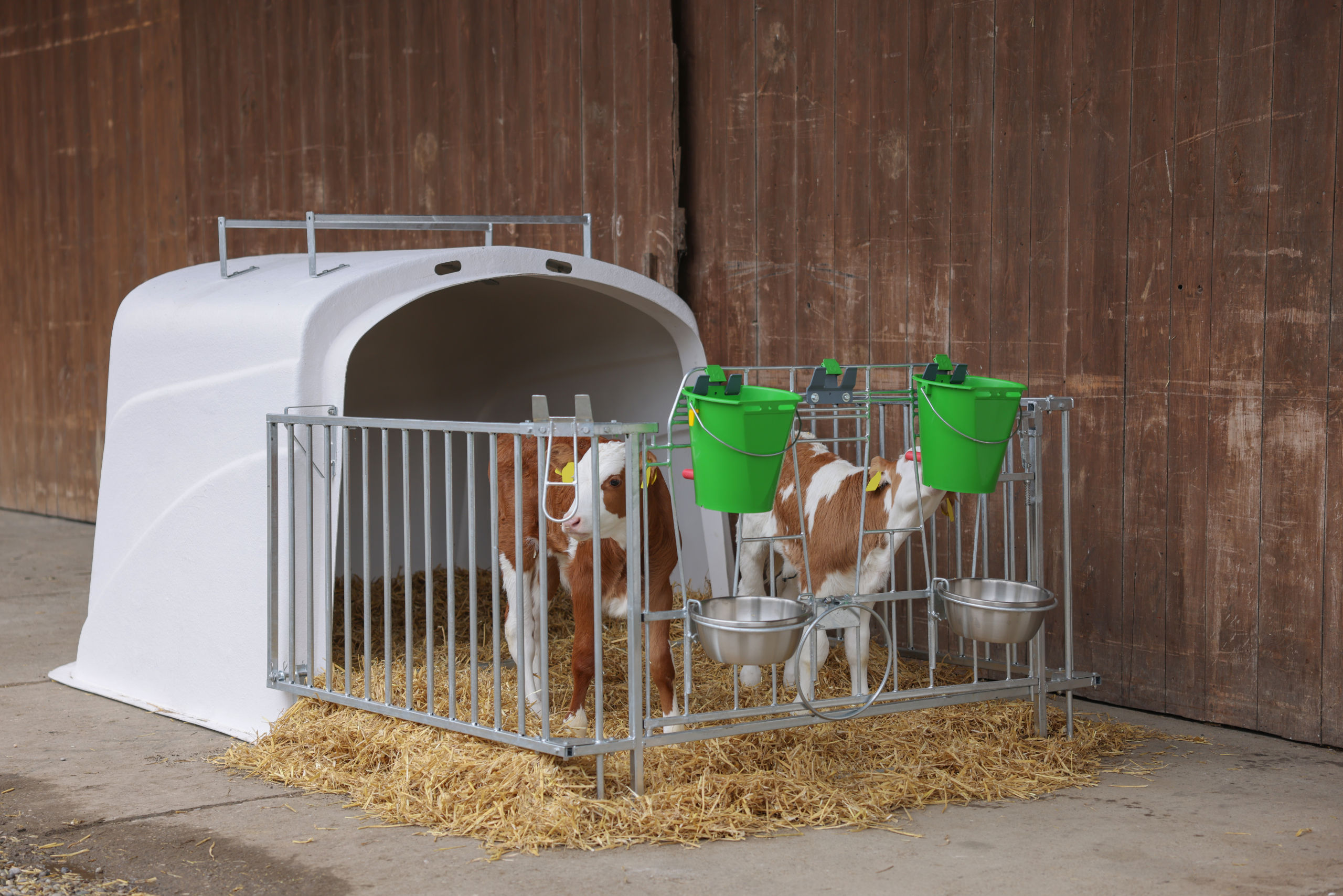 CalfHouse Premium DUO mit Umzäunung von Kerbl 14618