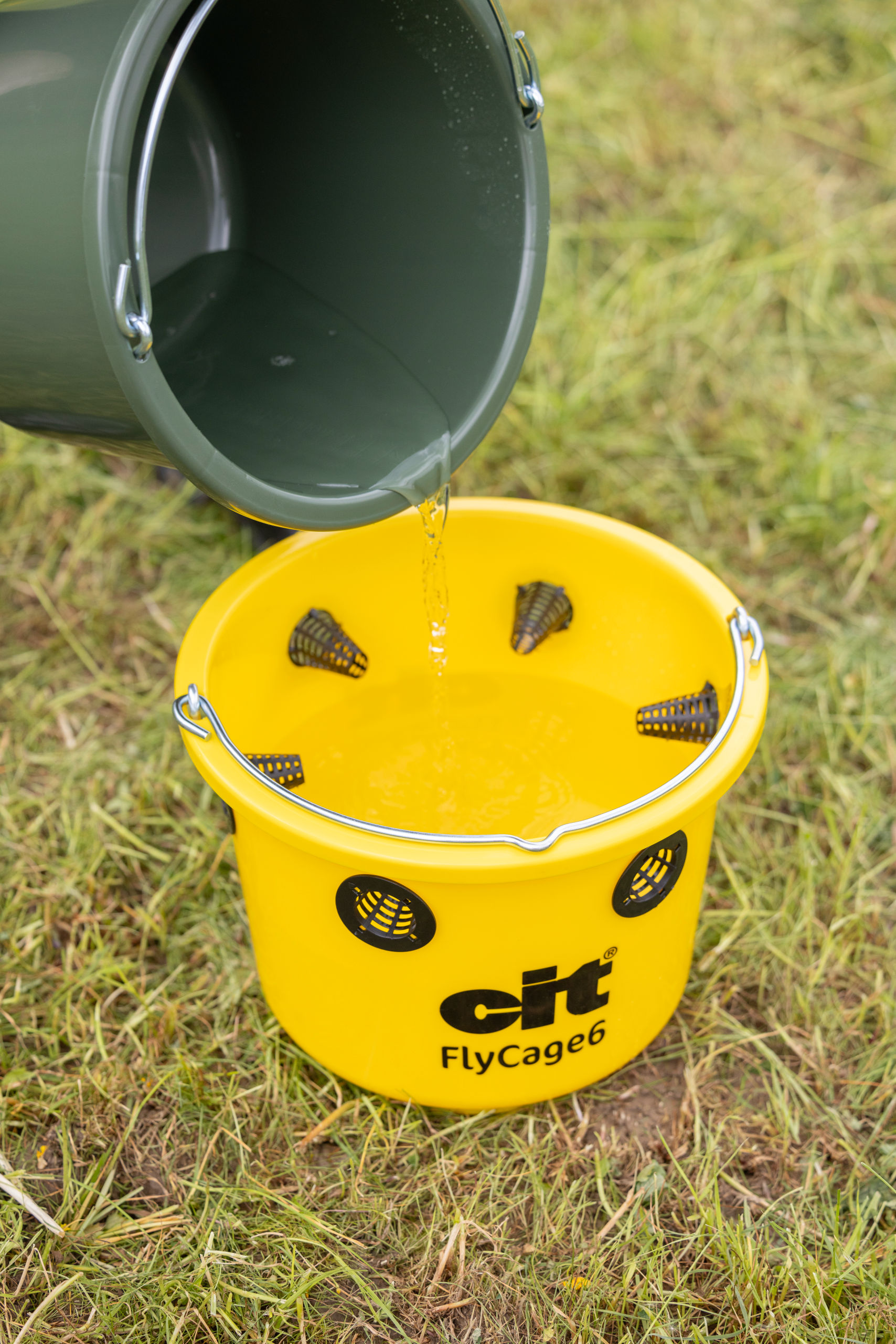 cit Fliegenfalle FlyCage6 von cit 299135
