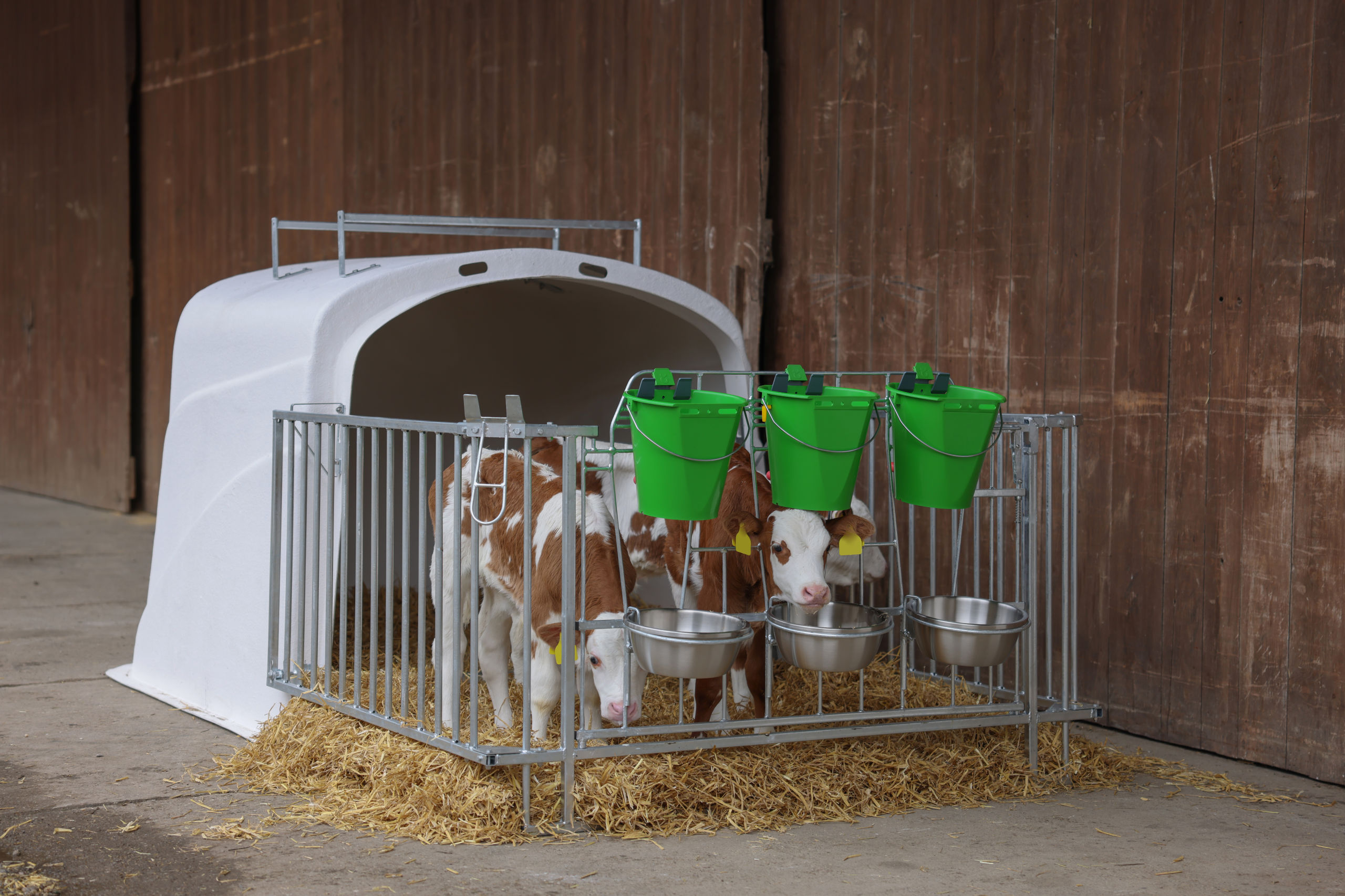 CalfHouse Premium DUO mit Umzäunung von Kerbl 14618