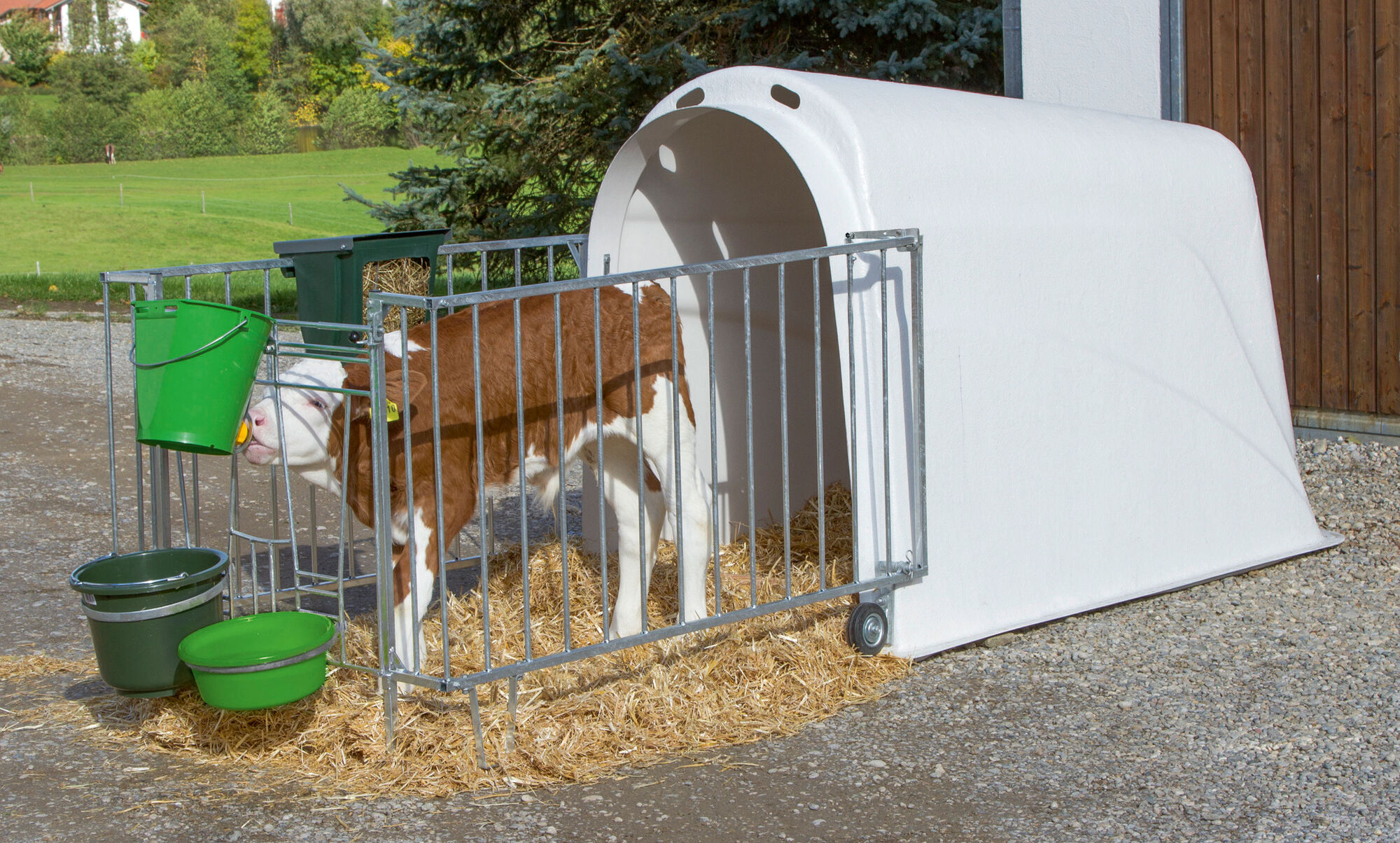 Kälberiglu CalfHouse Master Plus mit schwerer Umzäunung von Kerbl 14485