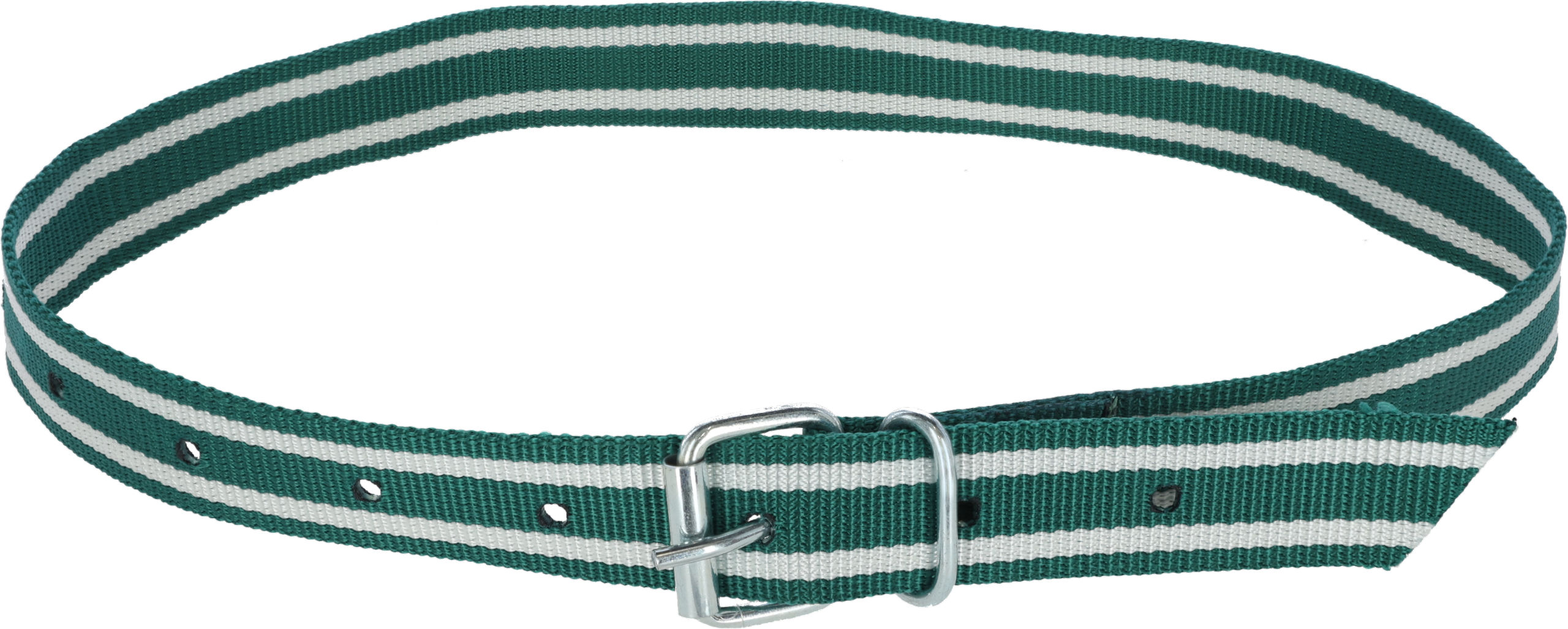 Halsmarkierungsband Premium mit Rollschnalle | 120cm von Kerbl 20898
