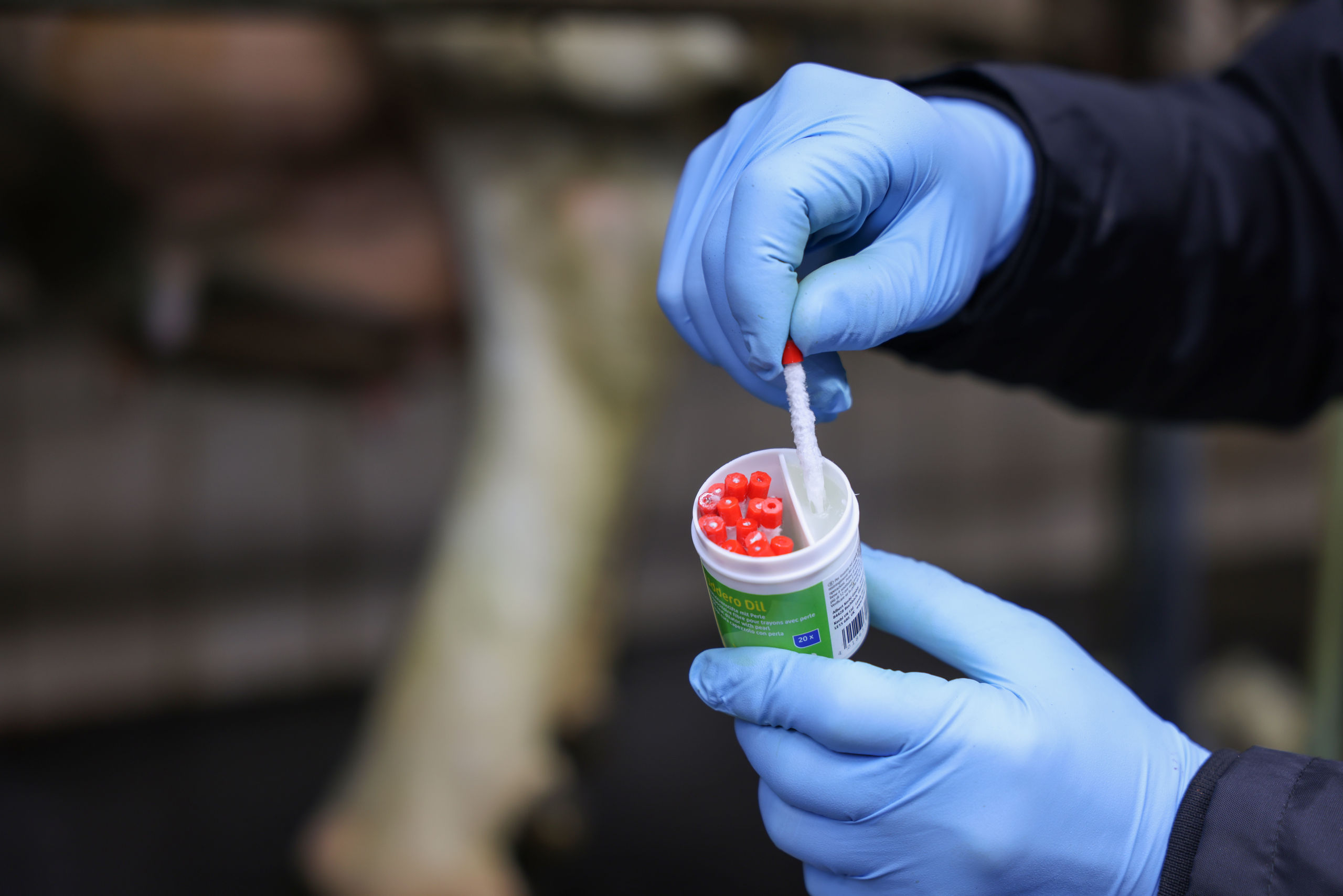 Wollzitzenstifte UdderoDIL | 20er Dose - Kerbl 1554 Wollzitzenstifte UdderoDIL | 20er Dose von Kerbl 1554