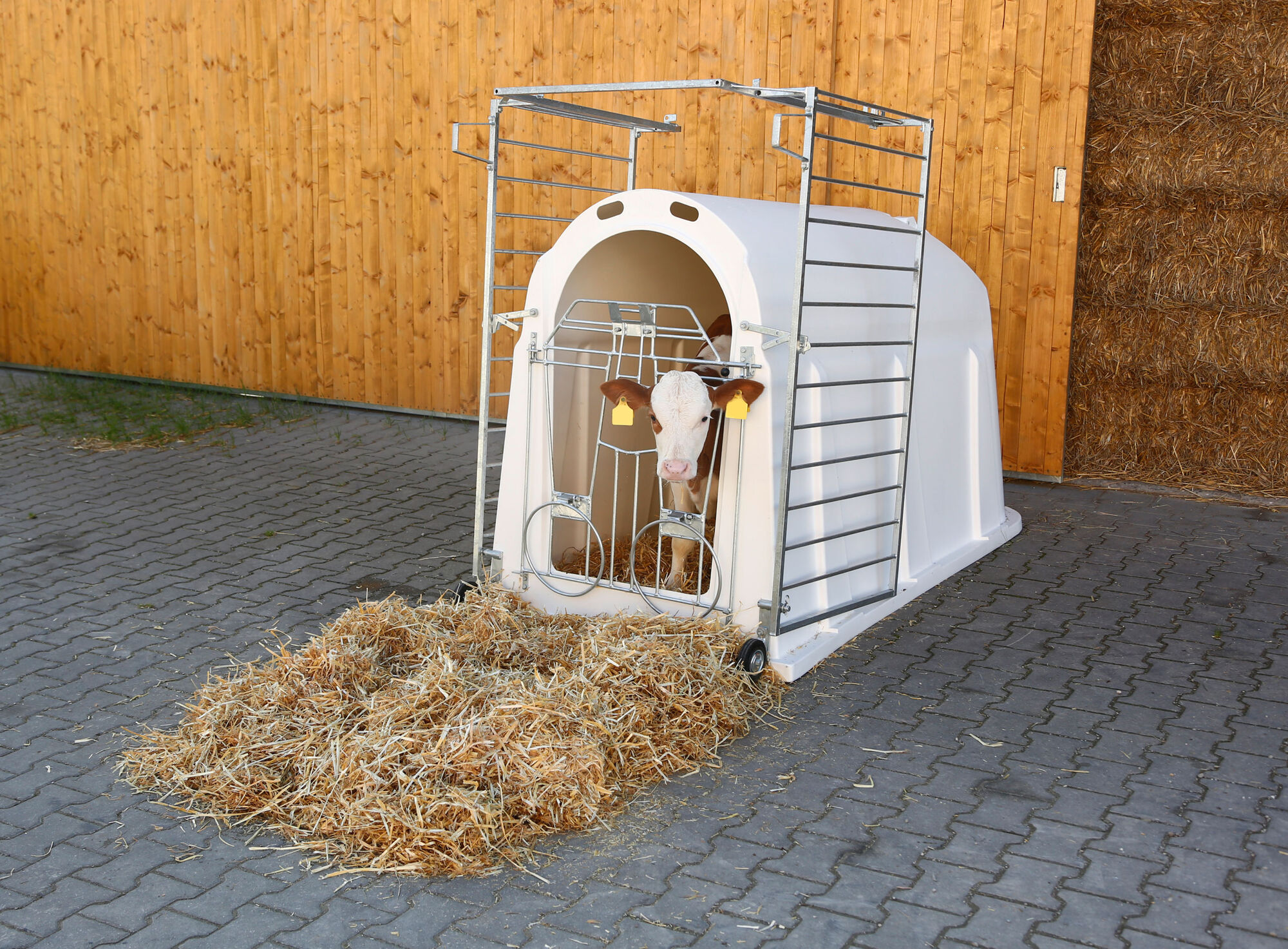 Kälberiglu CalfHouse PE UV+ mit leichter Umzäunung - Kerbl 14566 Kälberiglu CalfHouse PE UV+ mit leichter Umzäunung von Kerbl 14566