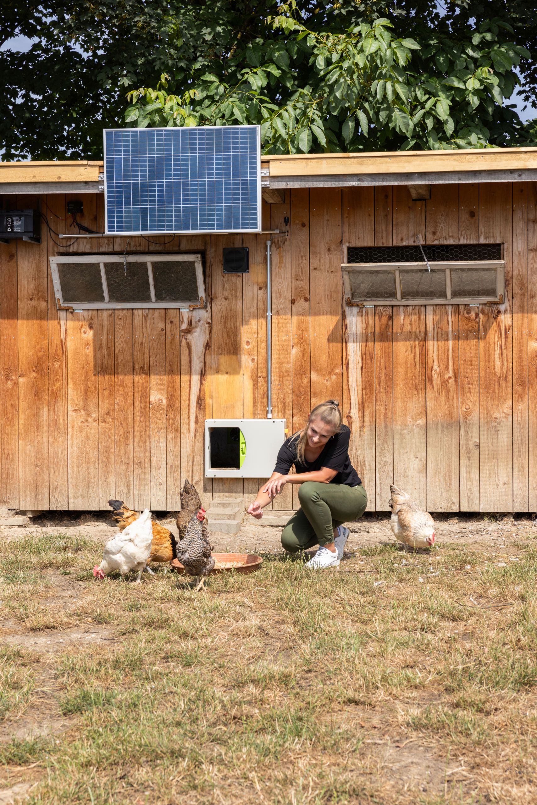 Solarset 100W inkl. Laderegler 12V von Kerbl