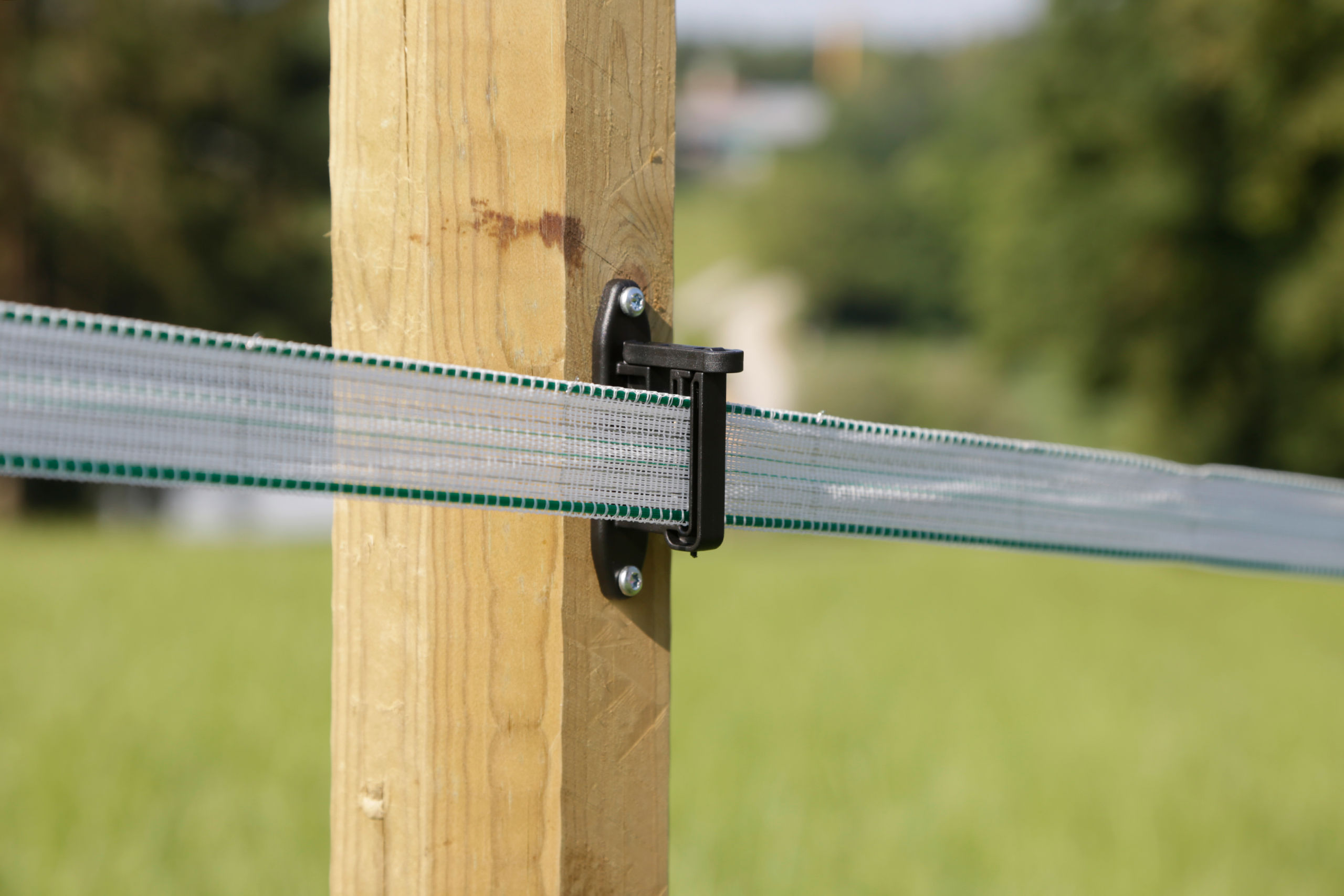 Klippisolator Easy Tape | 75 Stück Eimer - Kerbl 441391/753 Klippisolator Easy Tape | 75 Stück Eimer von Kerbl 441391/753